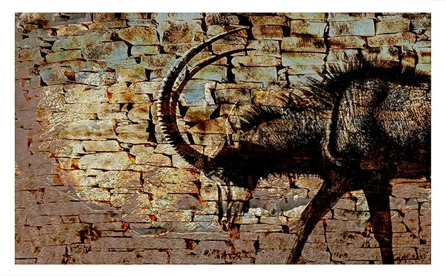 Sable-Rock-sm-UF.jpg