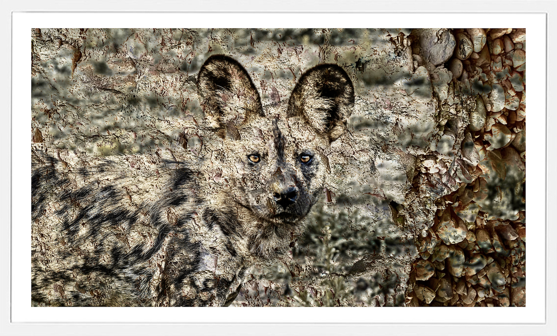 Wild Textures.png