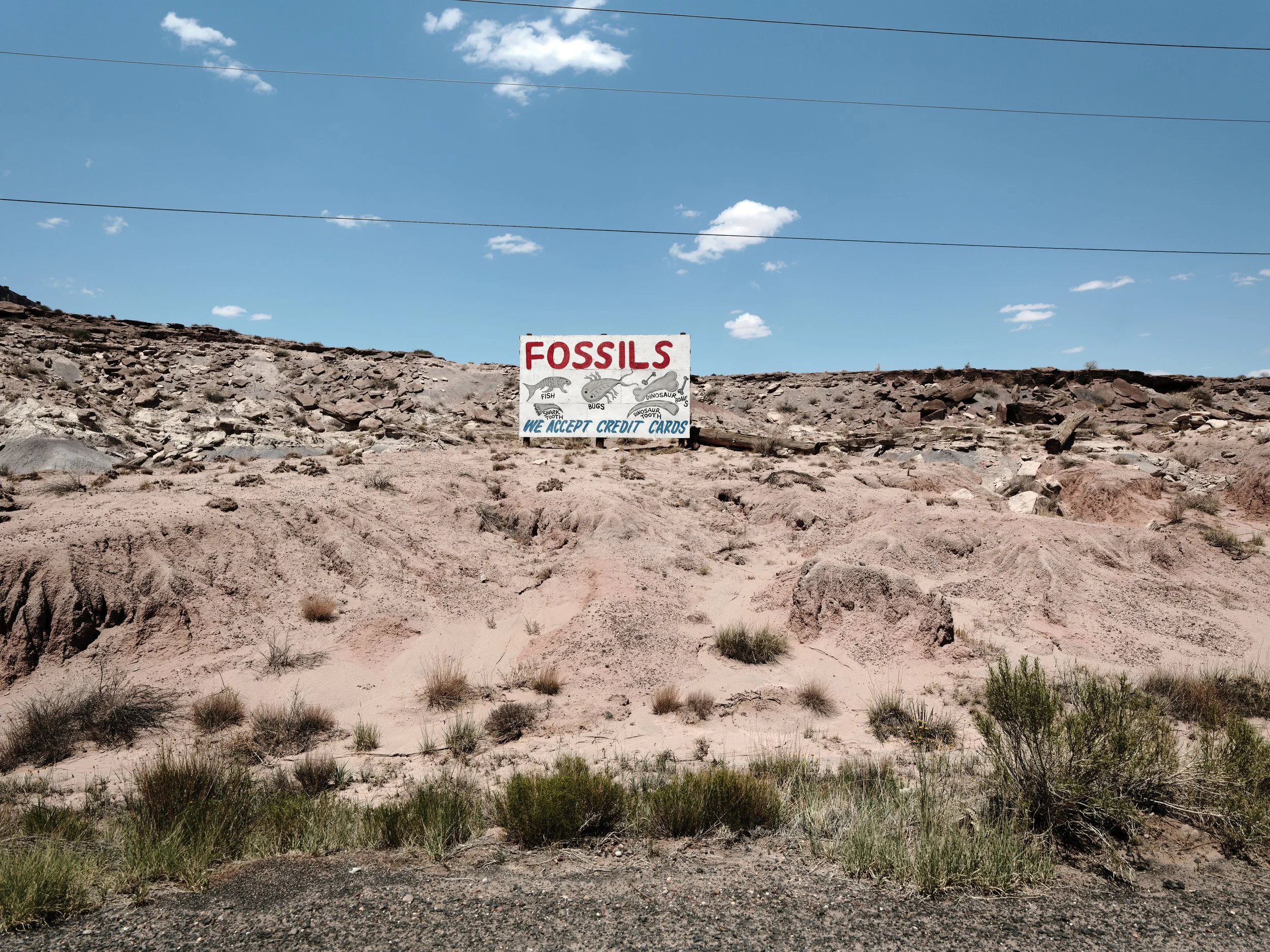 USA AOUT 2025 (363).jpg