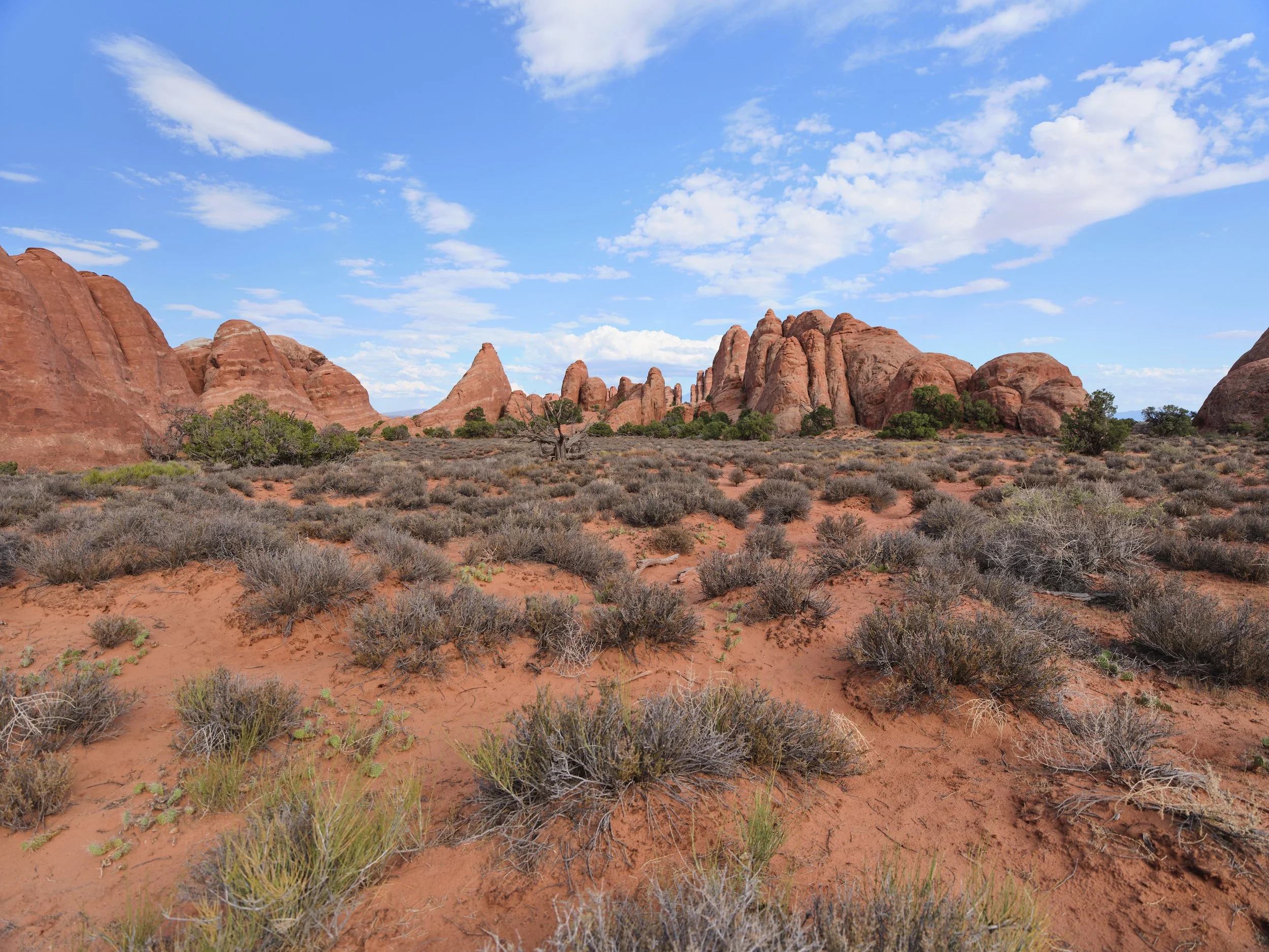 USA AOUT 2025 (1297).jpg