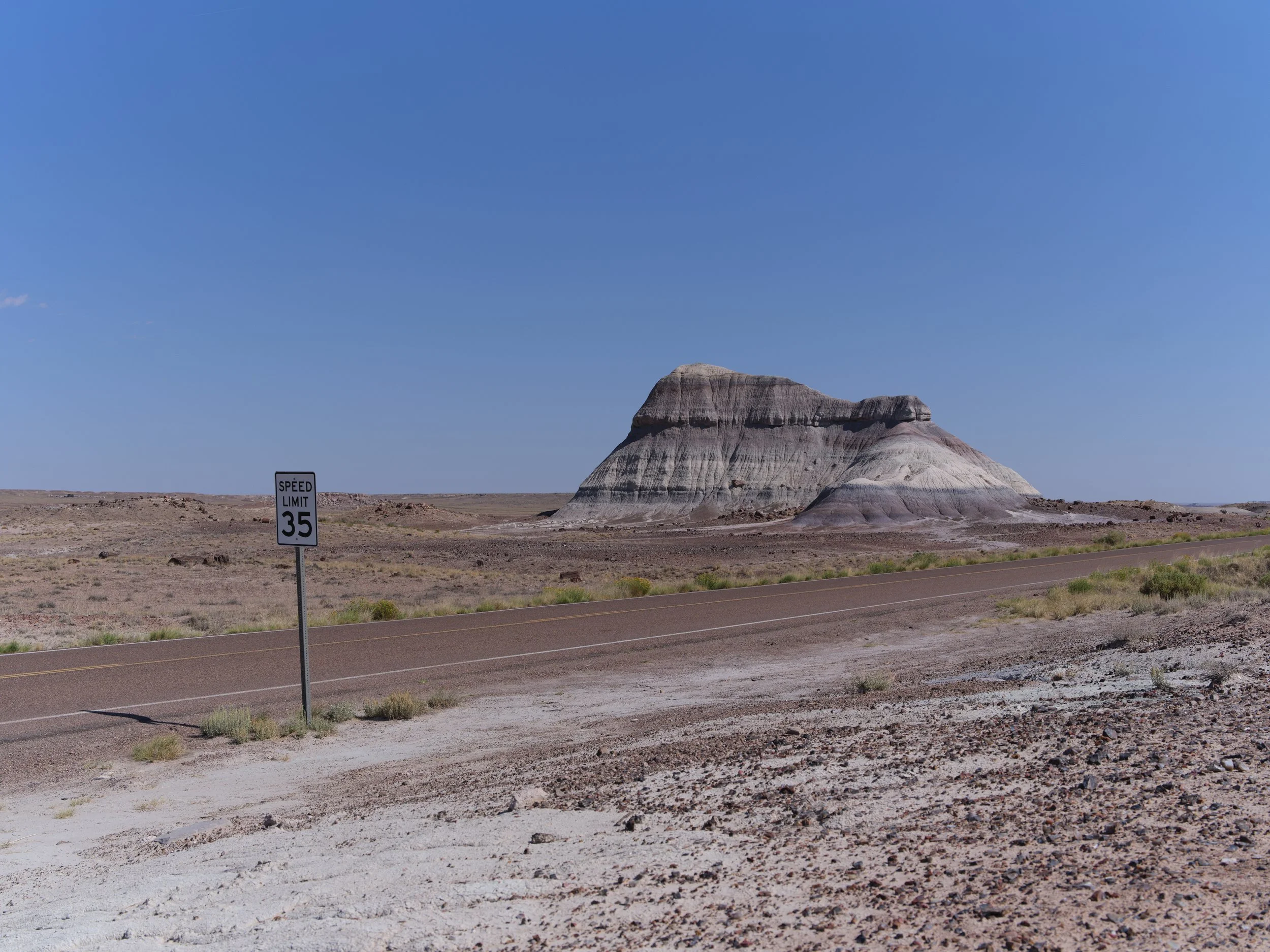 USA AOUT 2025 (231).jpg