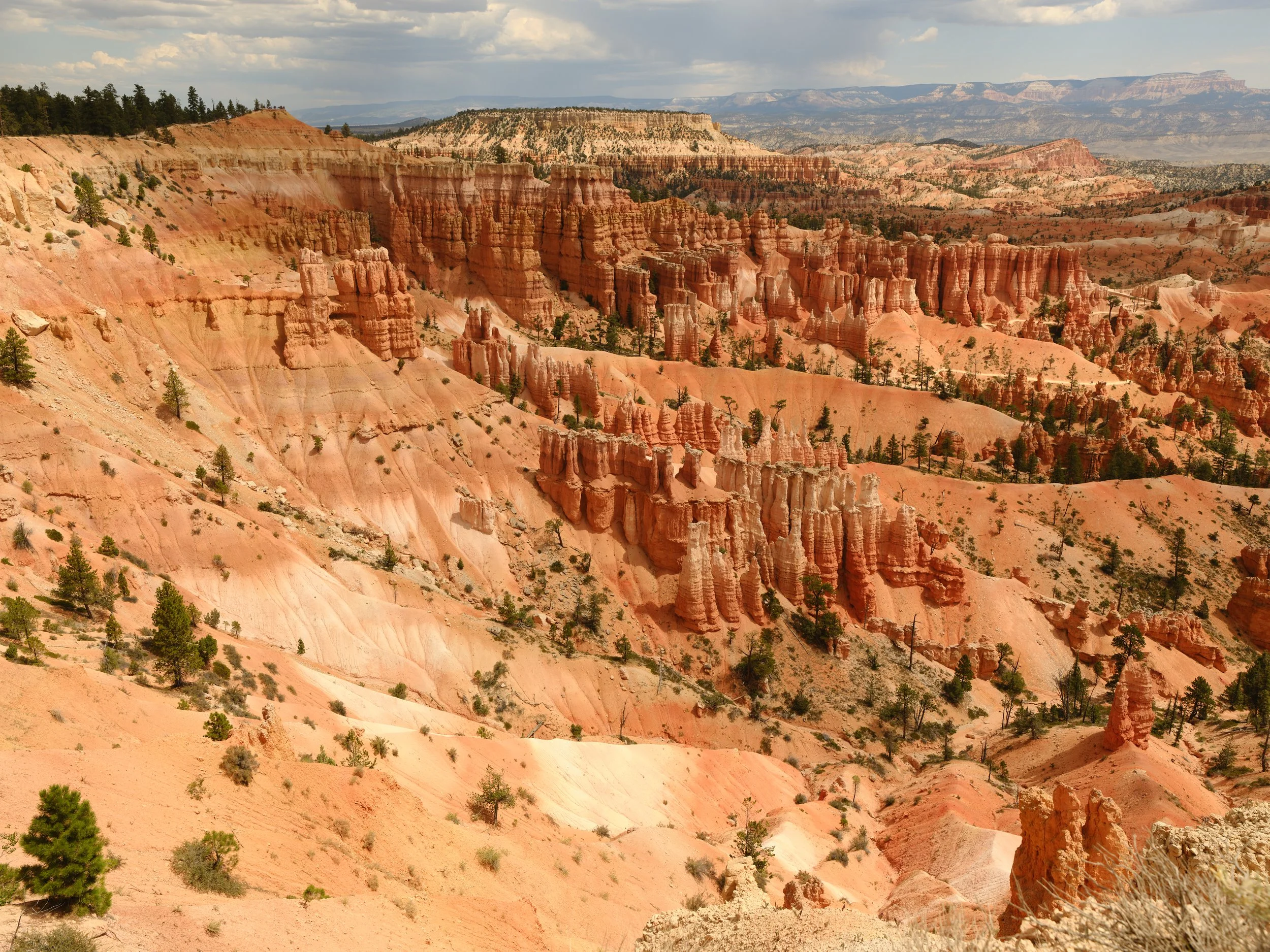 USA AOUT 2025 (2055).jpg