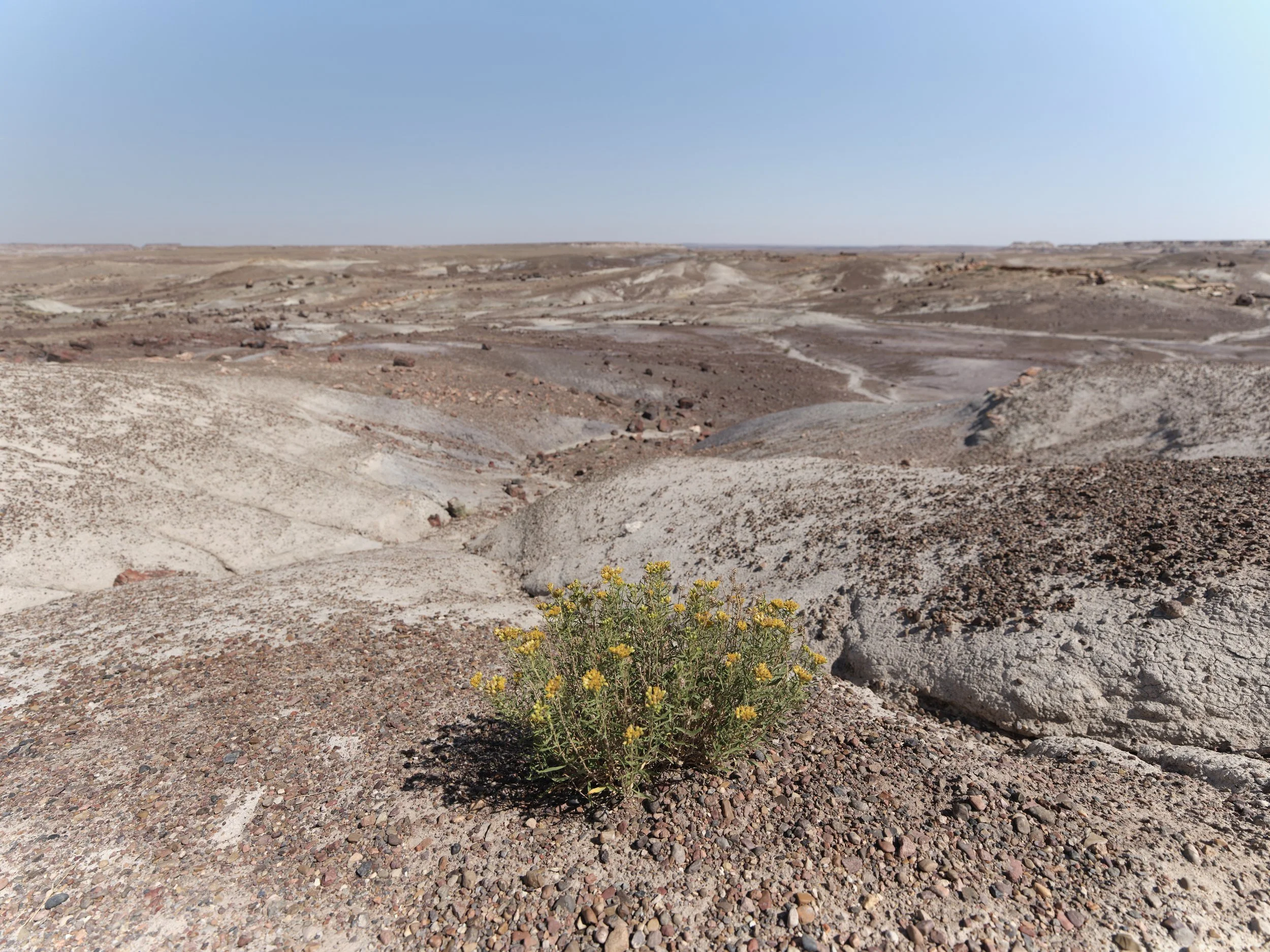 USA AOUT 2025 (275).jpg