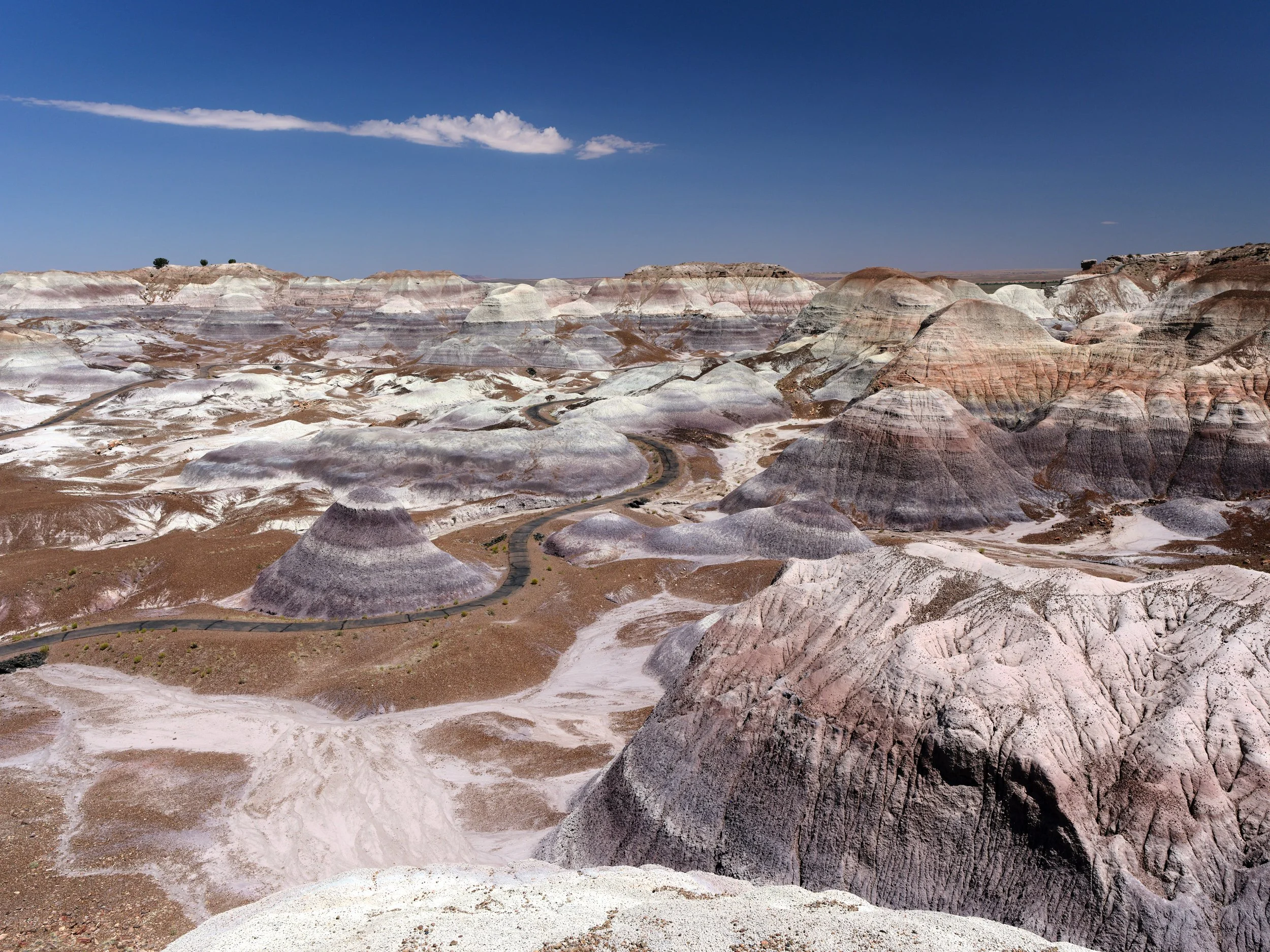 USA AOUT 2025 (316).jpg