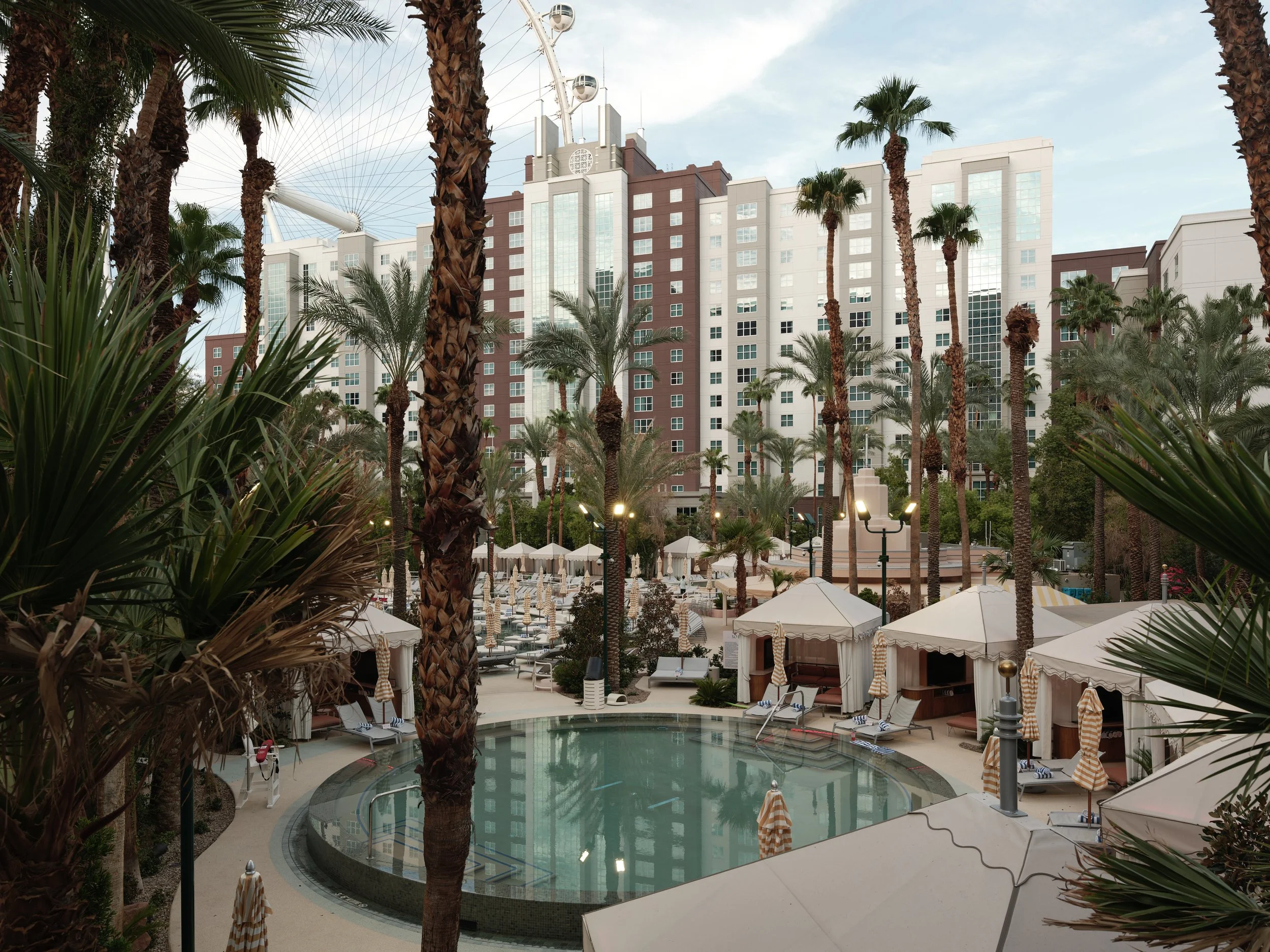 USA AOUT 2025 (2224).jpg