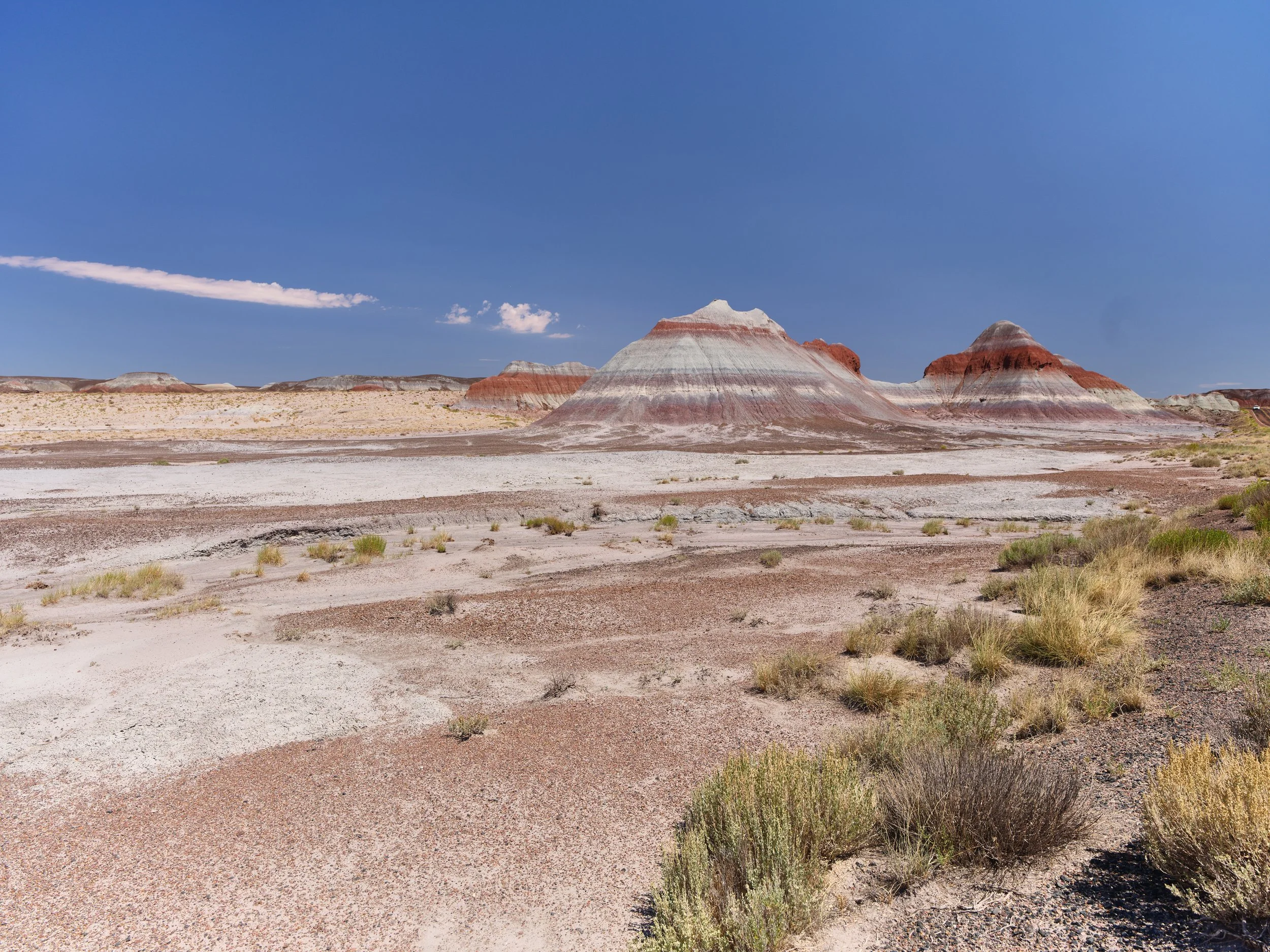 USA AOUT 2025 (318).jpg