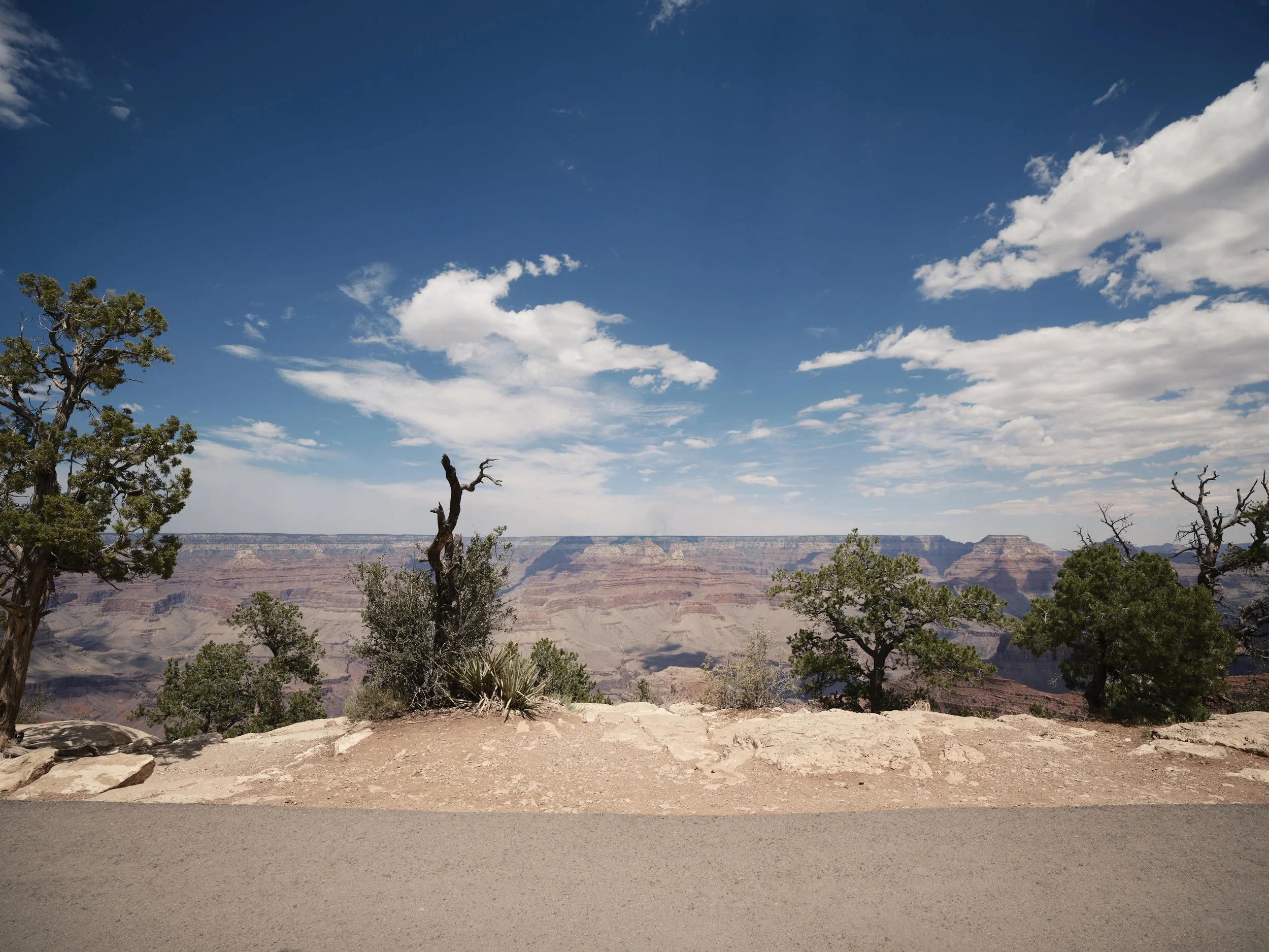 USA AOUT 2025 (119).jpg