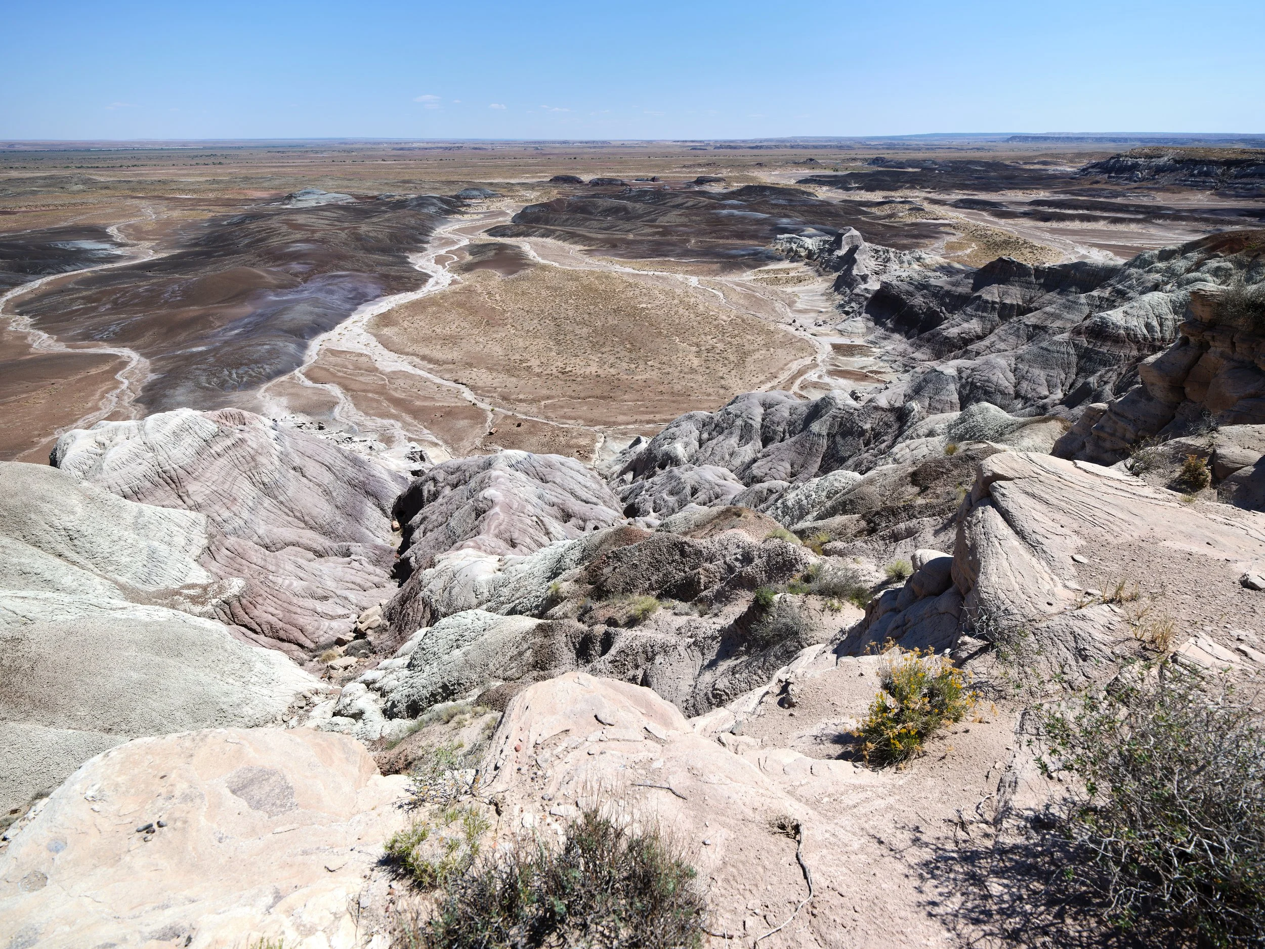 USA AOUT 2025 (306).jpg