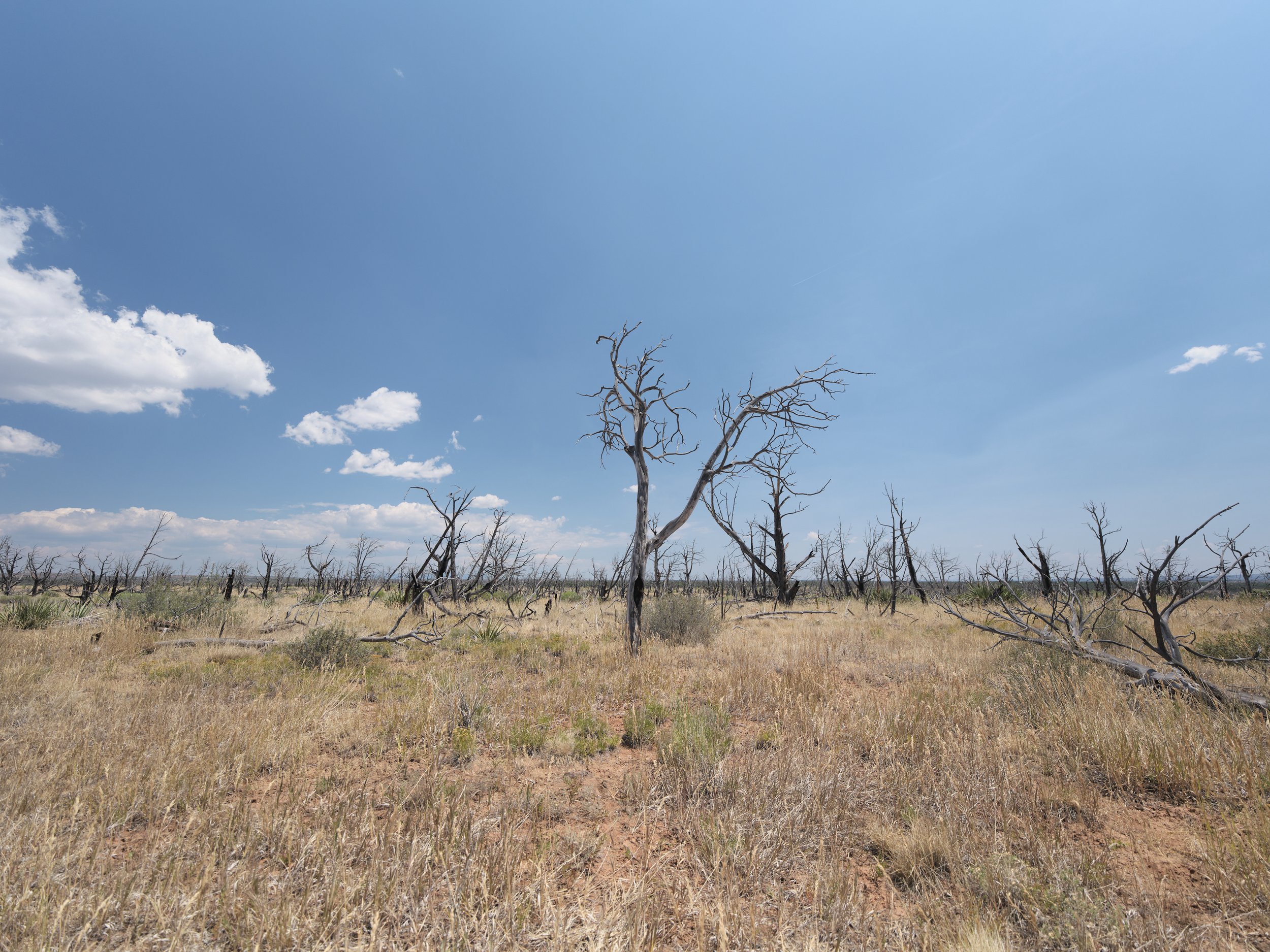 USA AOUT 2025 (790).jpg