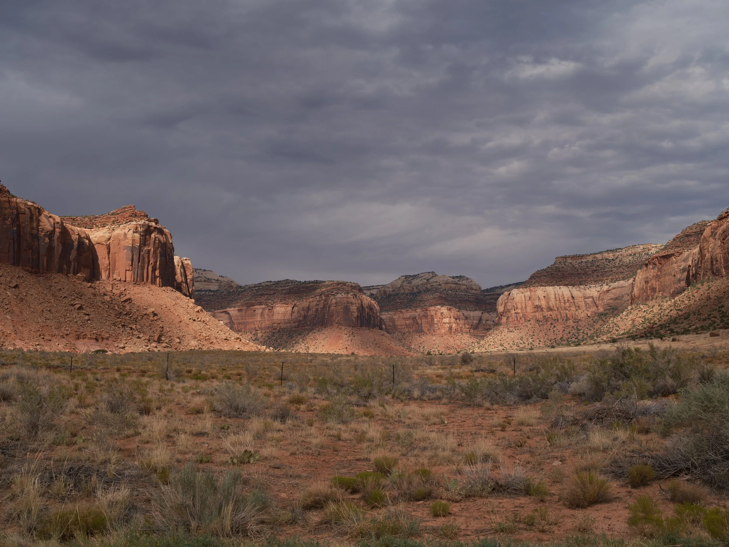 USA AOUT 2025 (1174).jpg