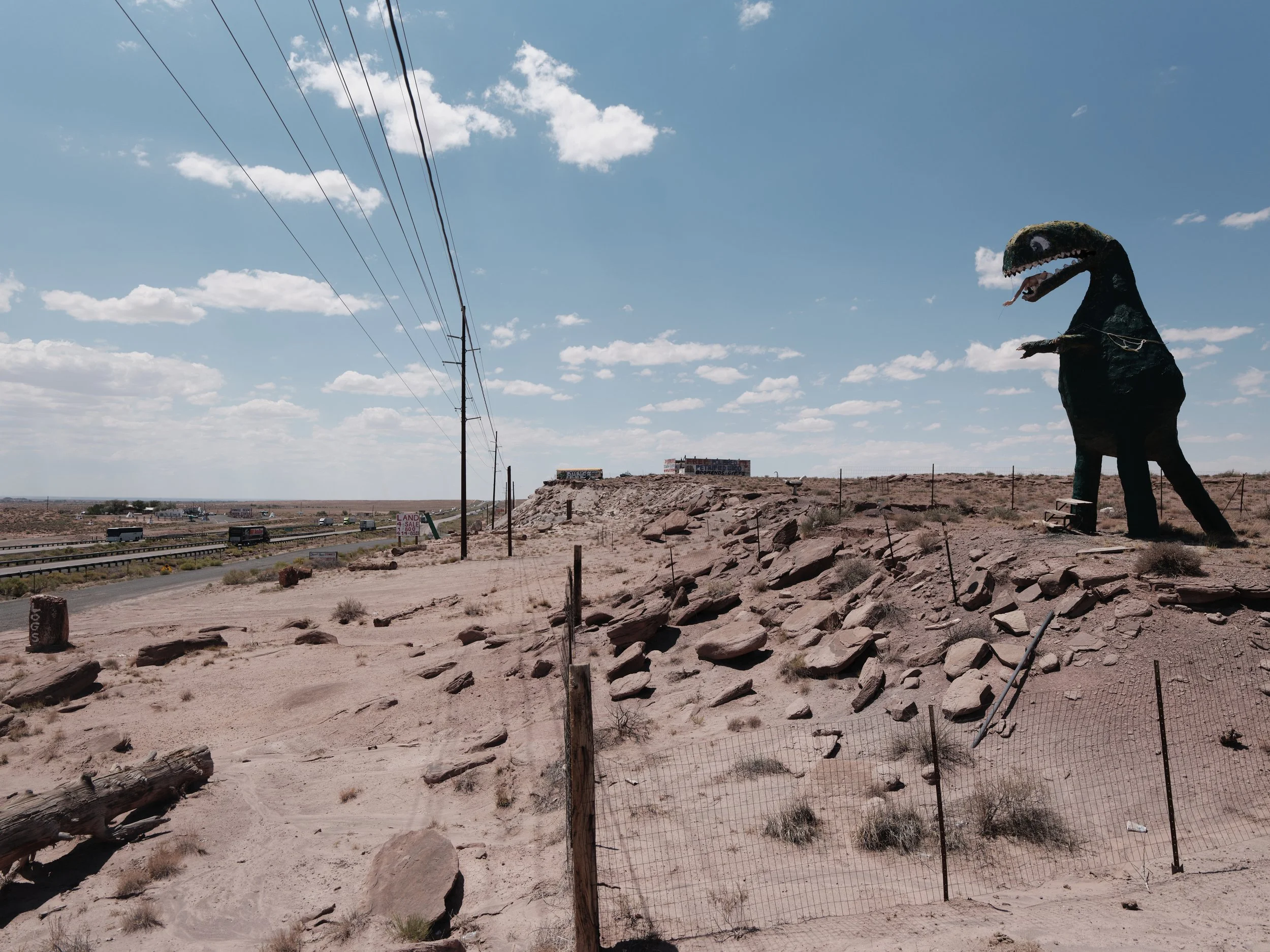 USA AOUT 2025 (380).jpg