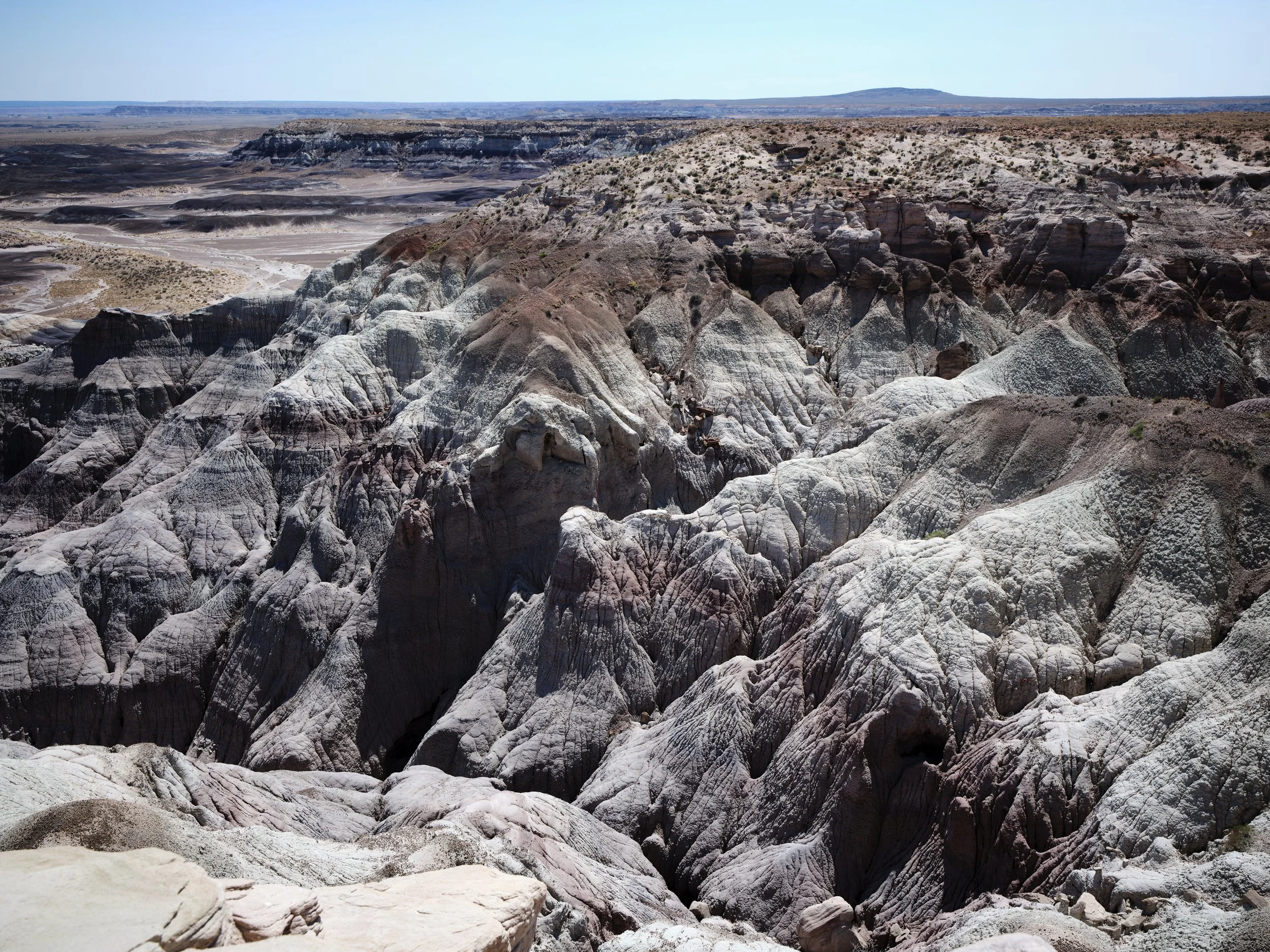 USA AOUT 2025 (309).jpg