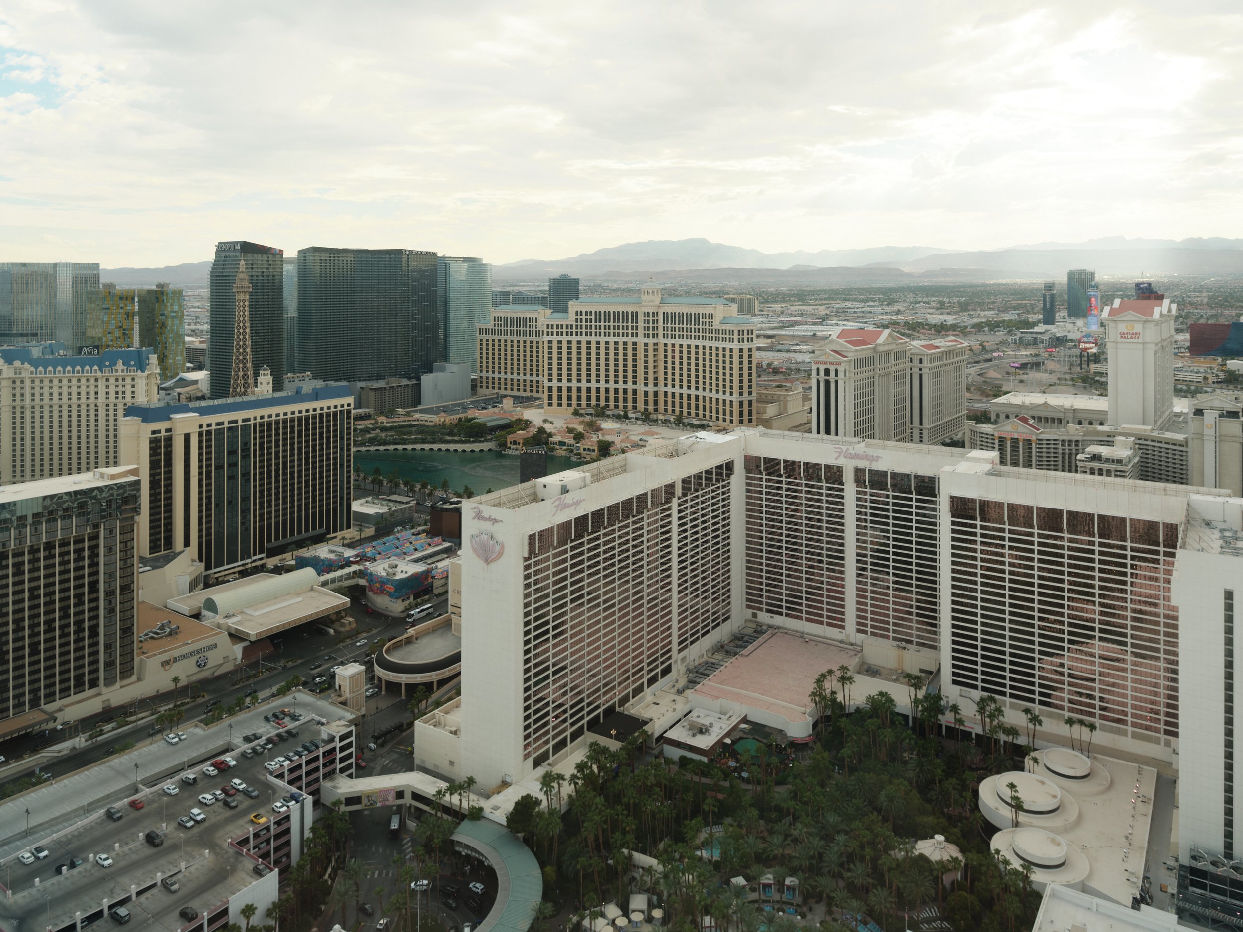 USA AOUT 2025 (2350).jpg