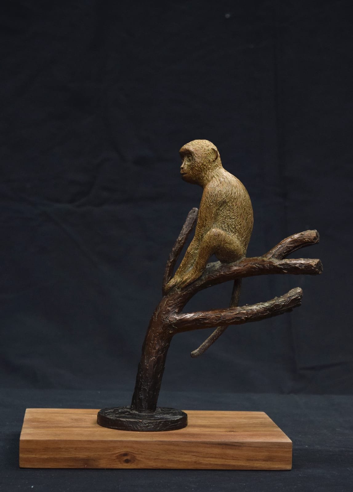 Lungisa Kala - Various - Bronze - R20 000 (excl. VAT)