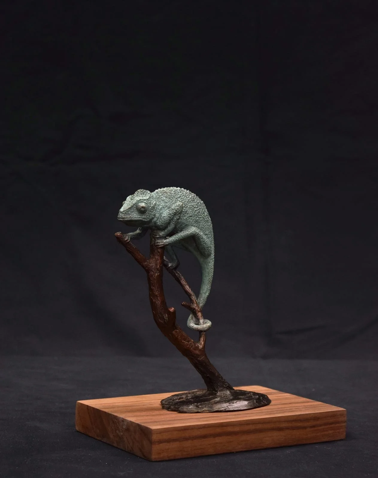 Lungisa Kala - Various - Bronze - R20 000 (excl. VAT)