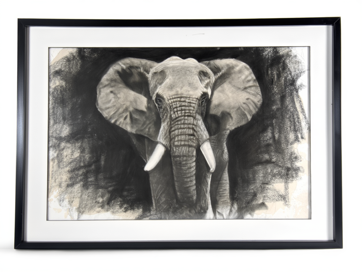 Johan Steinberg - Elephant - Charcoal on Fabriano - R 17 000 excl VAT