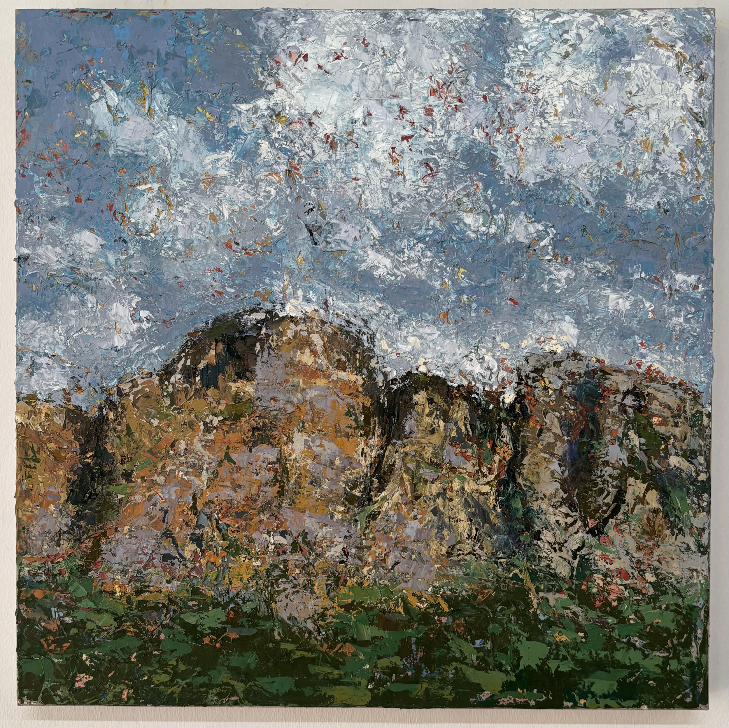 Erika - View from Newlands forest - 50 x 50 cm - Acrylic on canvas - R25 200