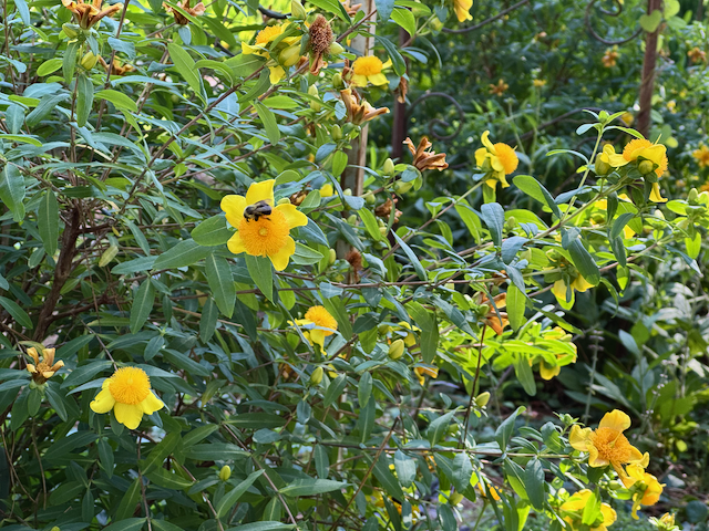 IMG_0649.png