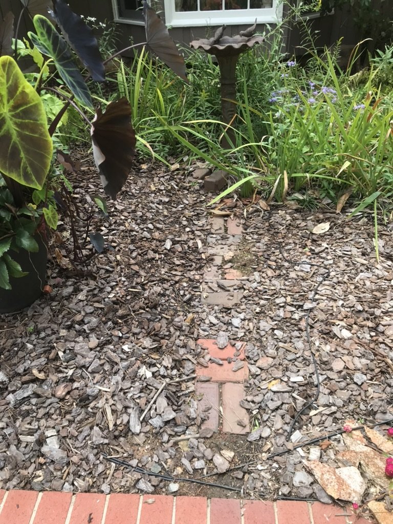 D2502256-90C0-43CB-8D60-9014678C9C91_1_105_c.jpeg