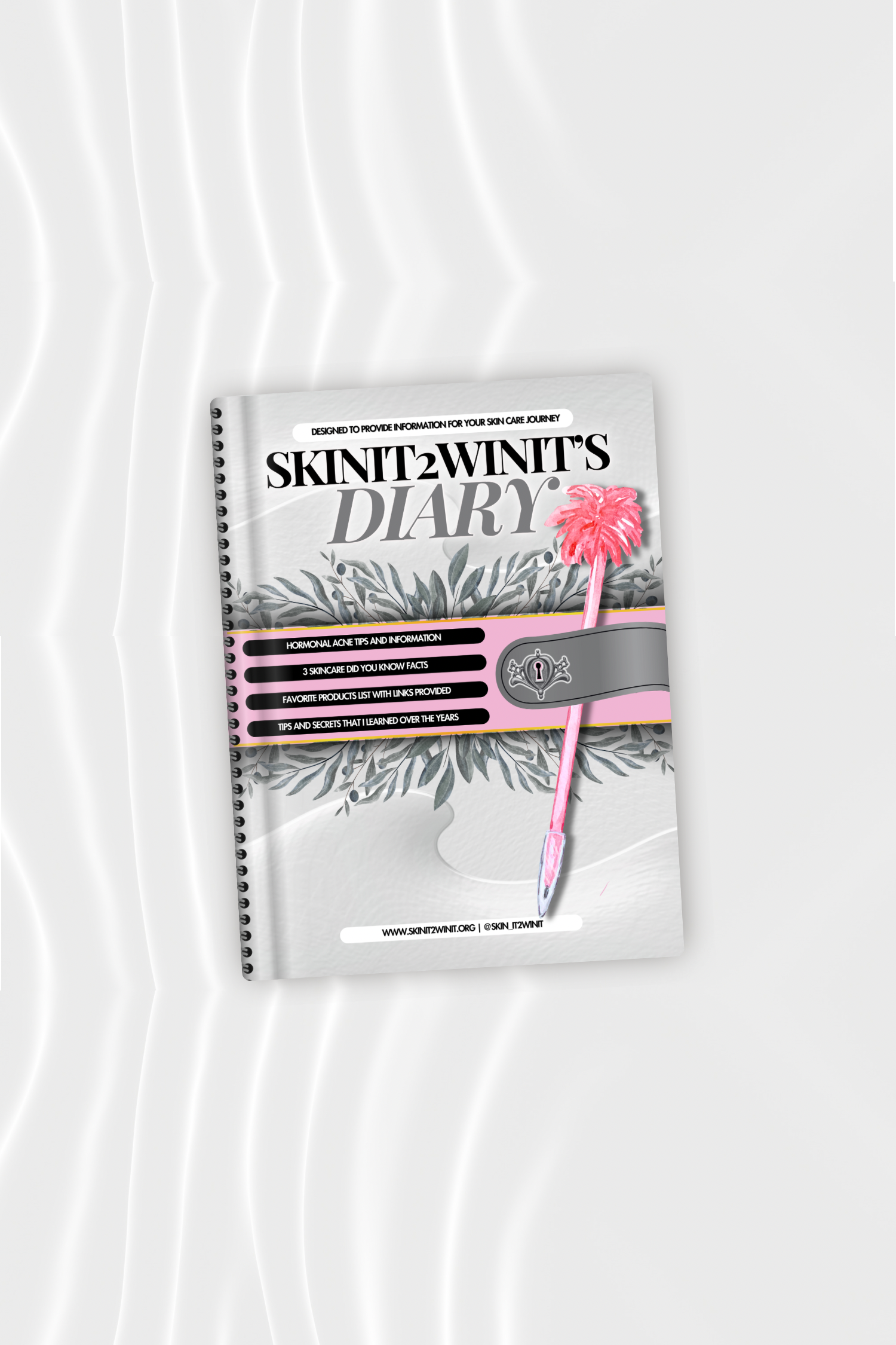 Skinit2Winit’s Diary E-book