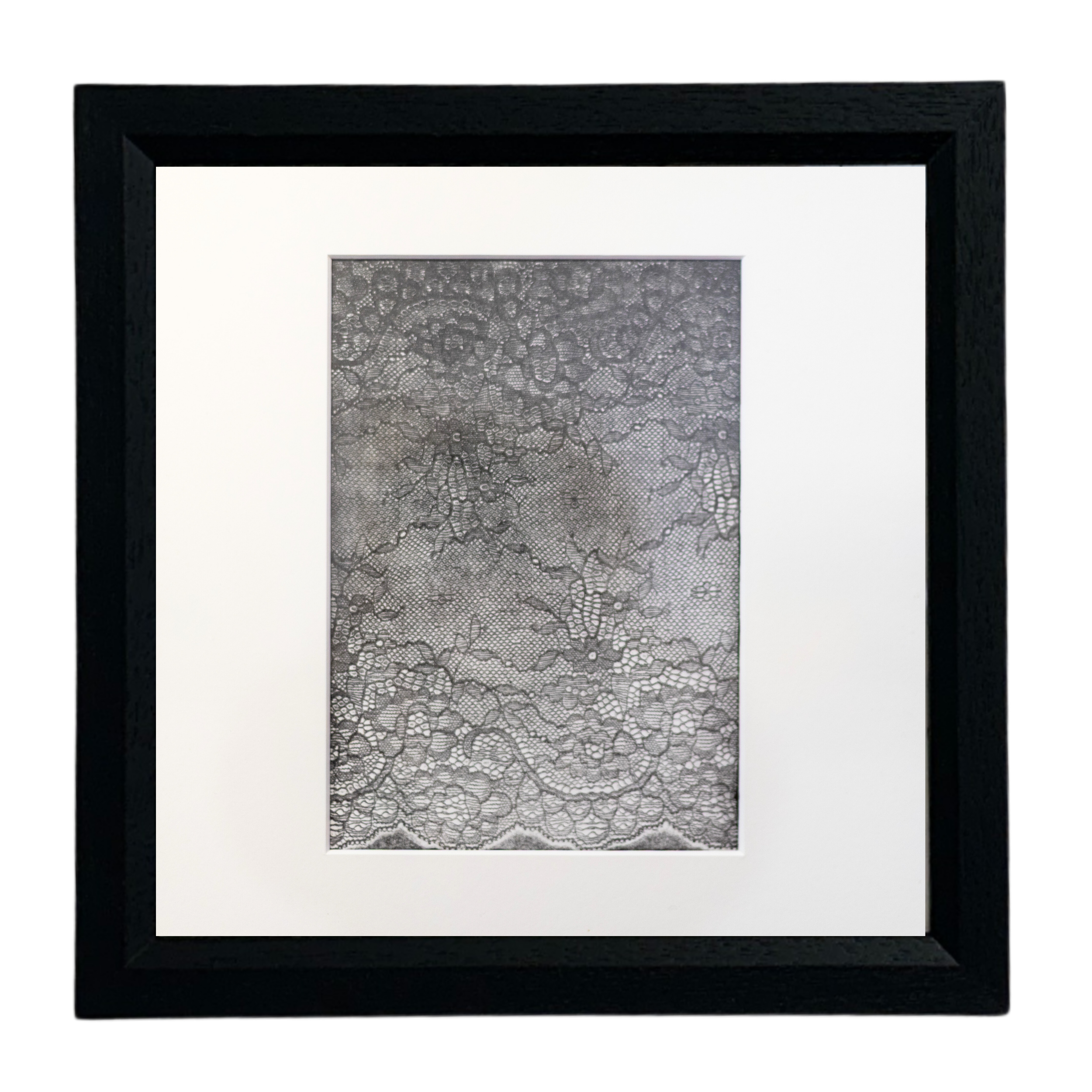 JR WEbsite products.png