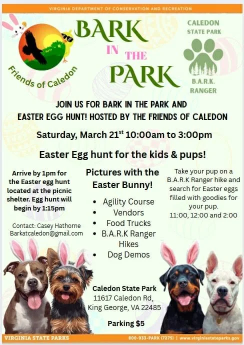 Bark in the Park