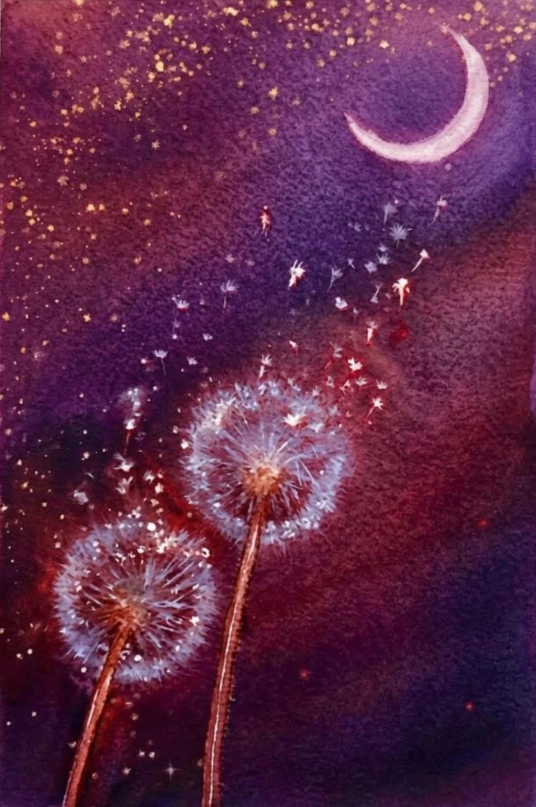 Dandelion Dreams