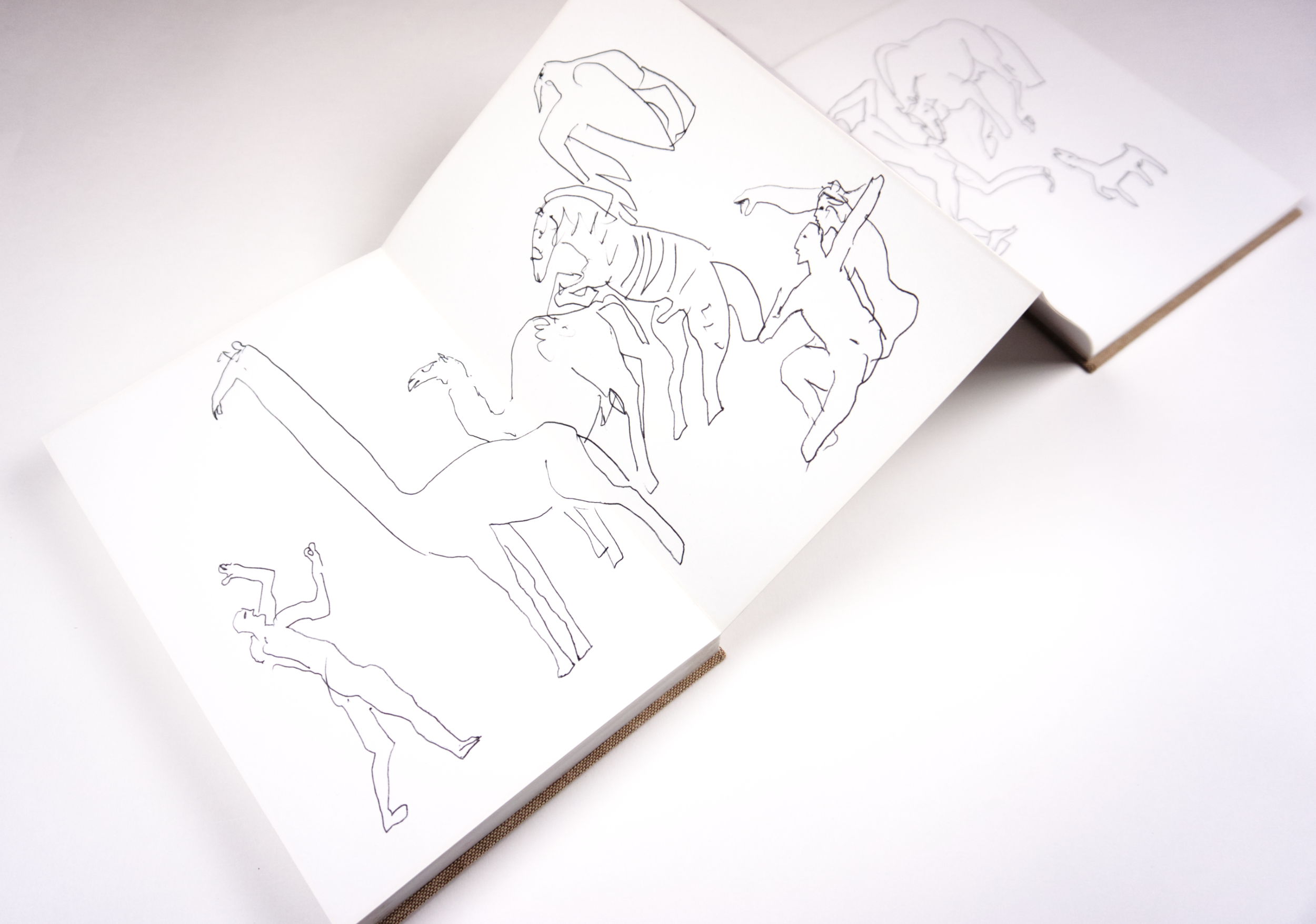 DSC05968.png