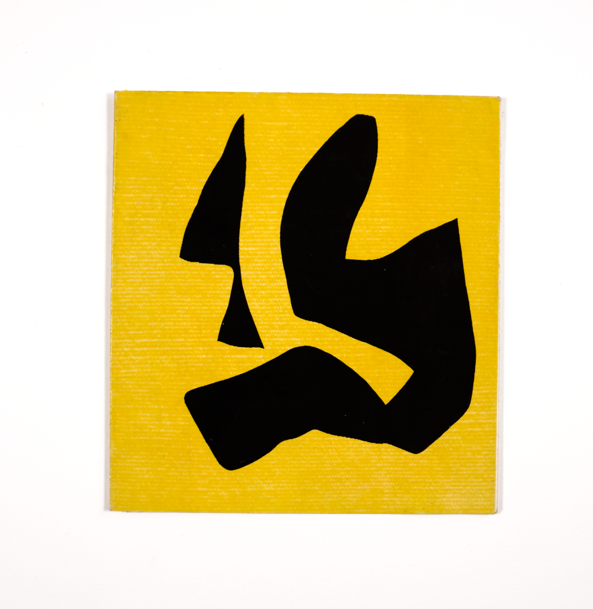 DSC06119.png