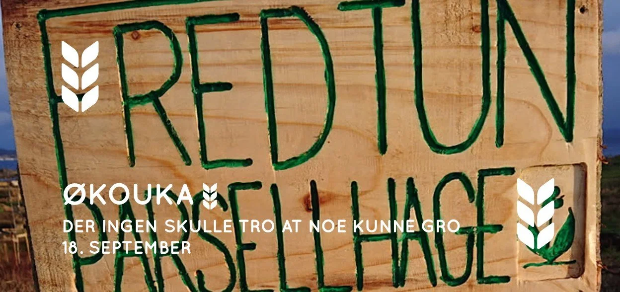 Der ingen skulle tro at noe kunne gro