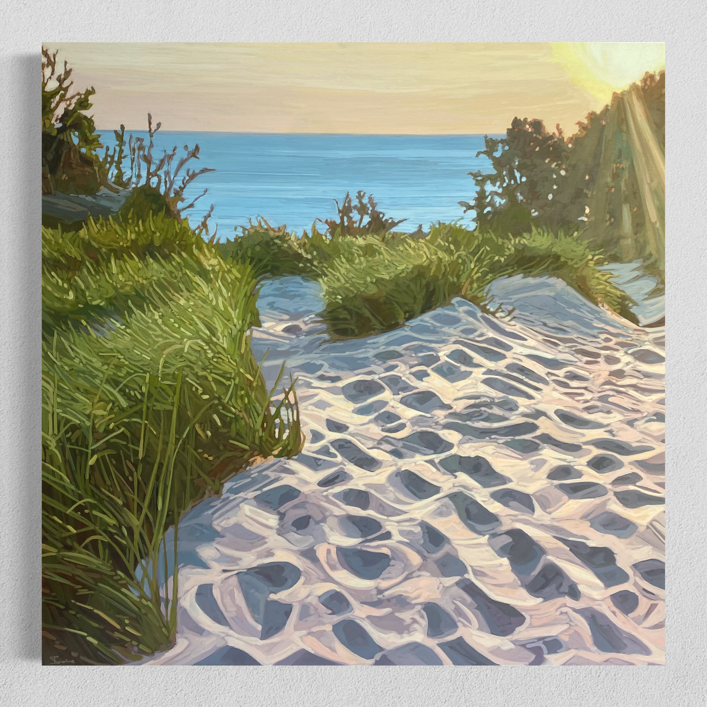 Follow the Sun - Meghan Irvine.jpeg