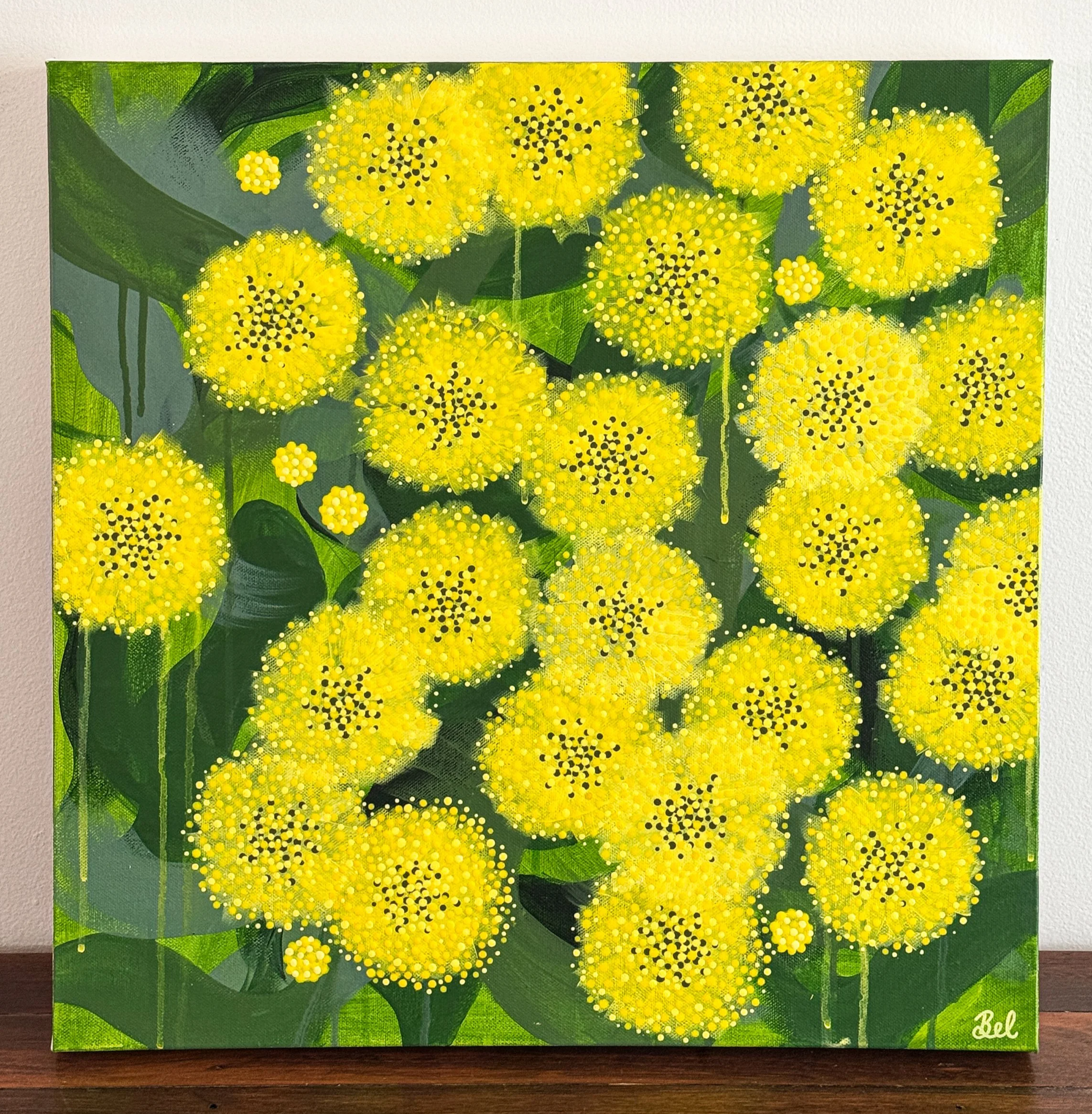 beljohnstone_goldenwattle.png