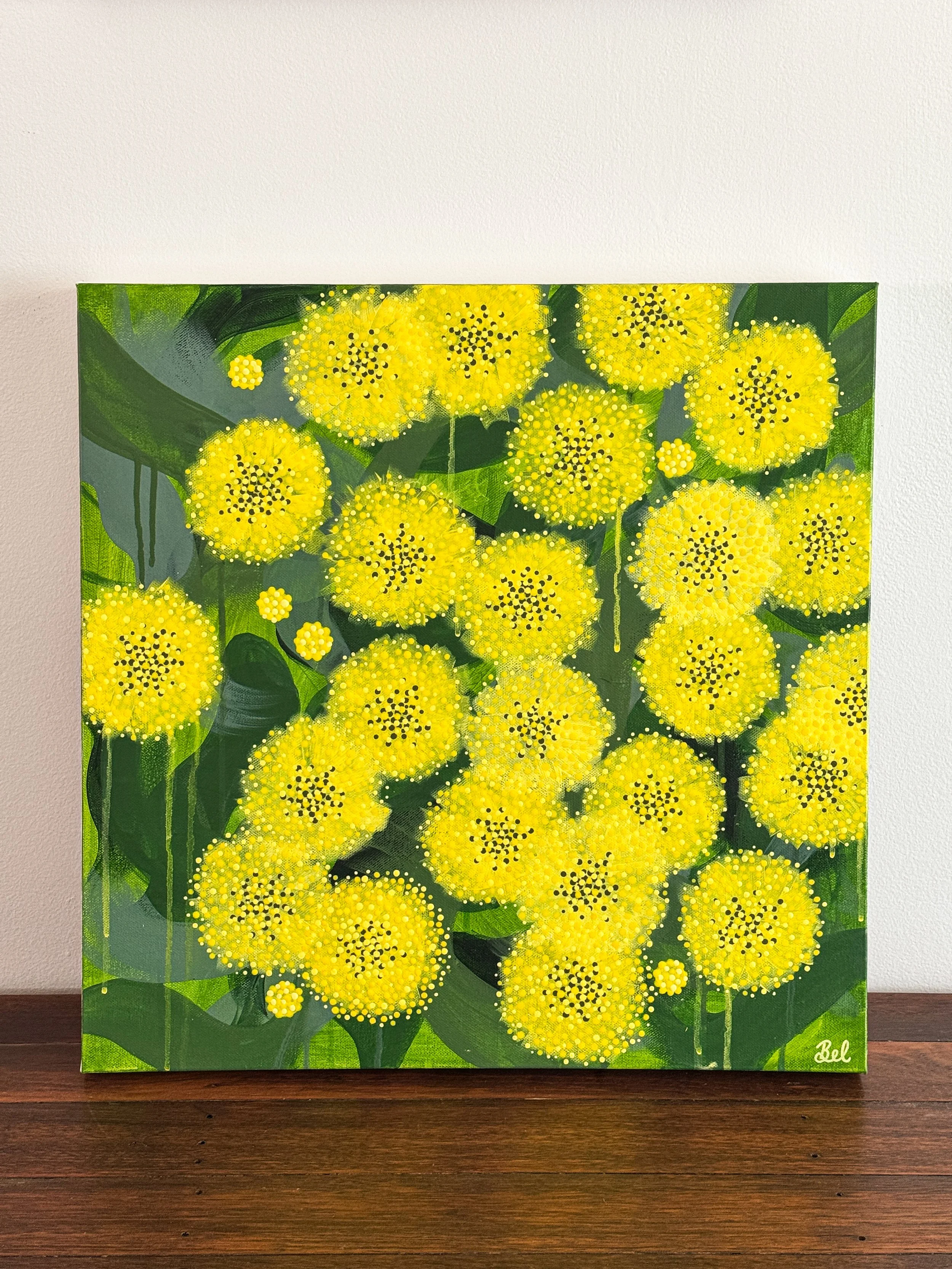 beljohnstone_goldenwattle.JPG