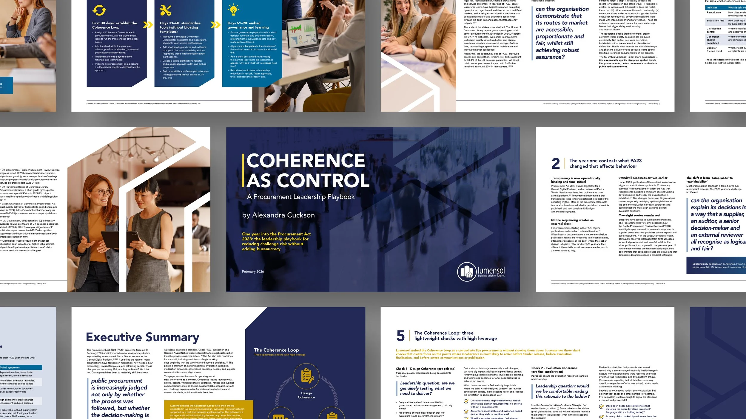 Lumensol Procurement Whitepaper2.jpg