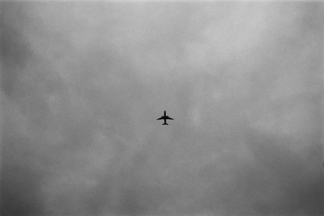 0000927-R1-30-31 Medium.jpeg