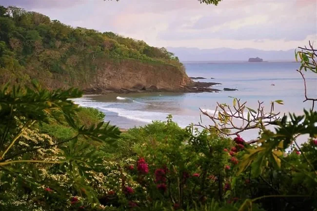 Coastal view with green foliage in the foreground, sandy beach, rocky cliffs, and ocean waves under a cloudy sky.