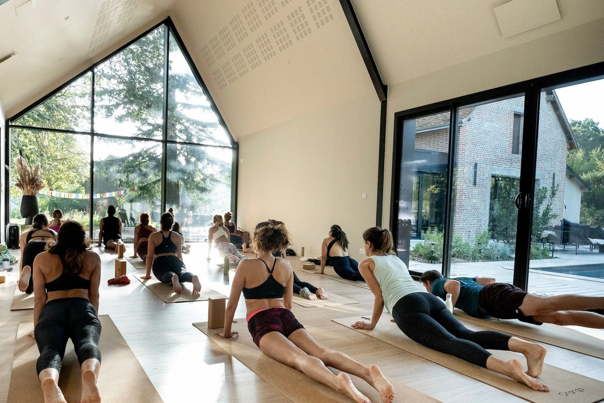 People participating in a yoga class in a spacious studio with large glass windows, sunlight shining in, and trees visible outside.