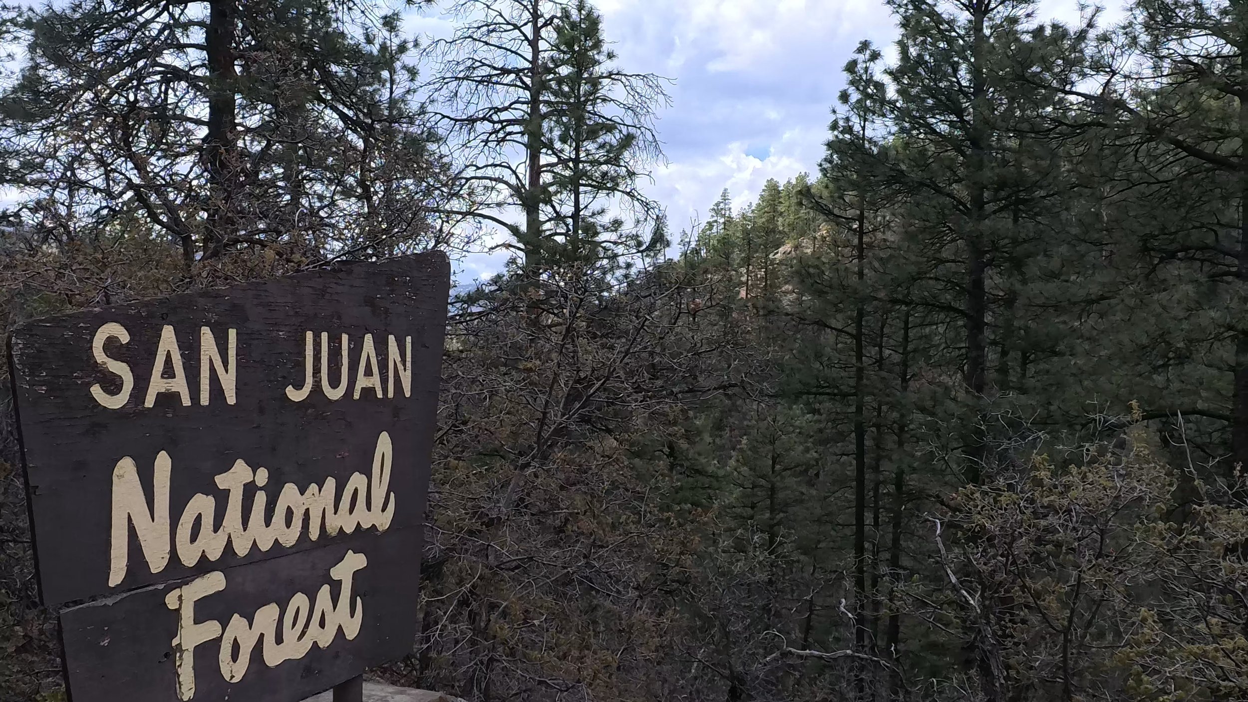 240510-SanJuanForestSign.jpg