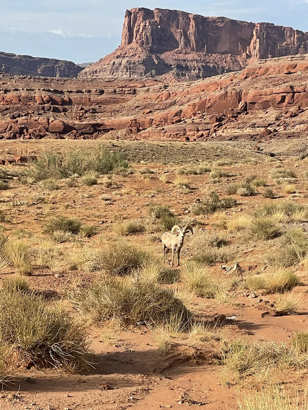 240719-HelloThere.jpeg