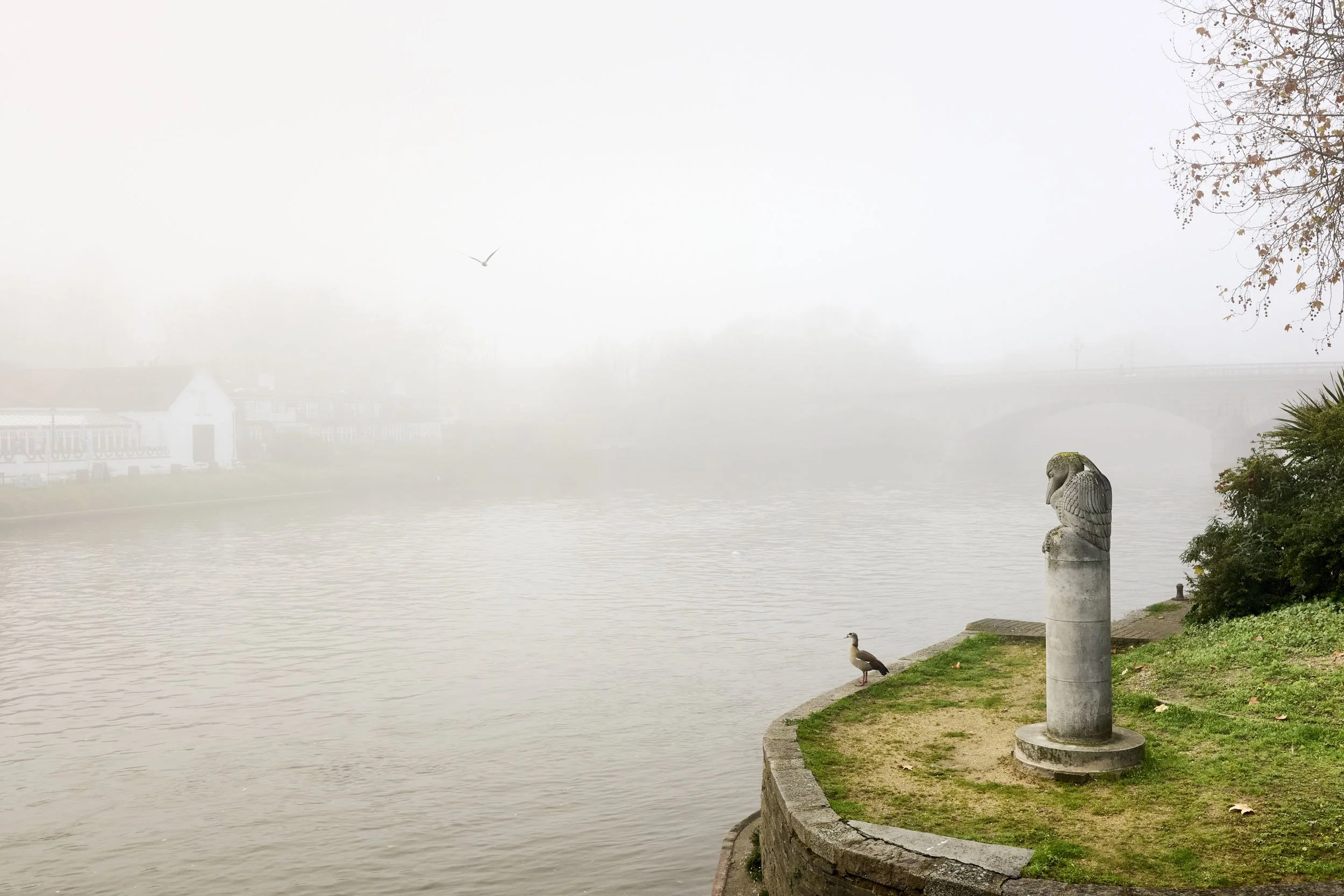 16_L1030800.jpg
