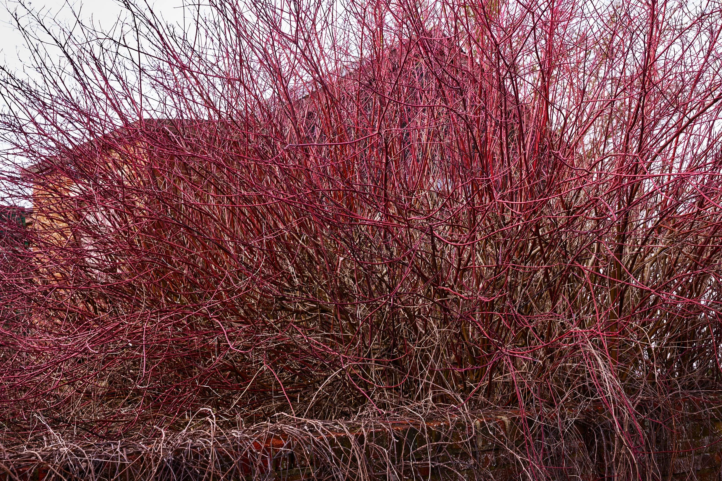 L1610303.jpg