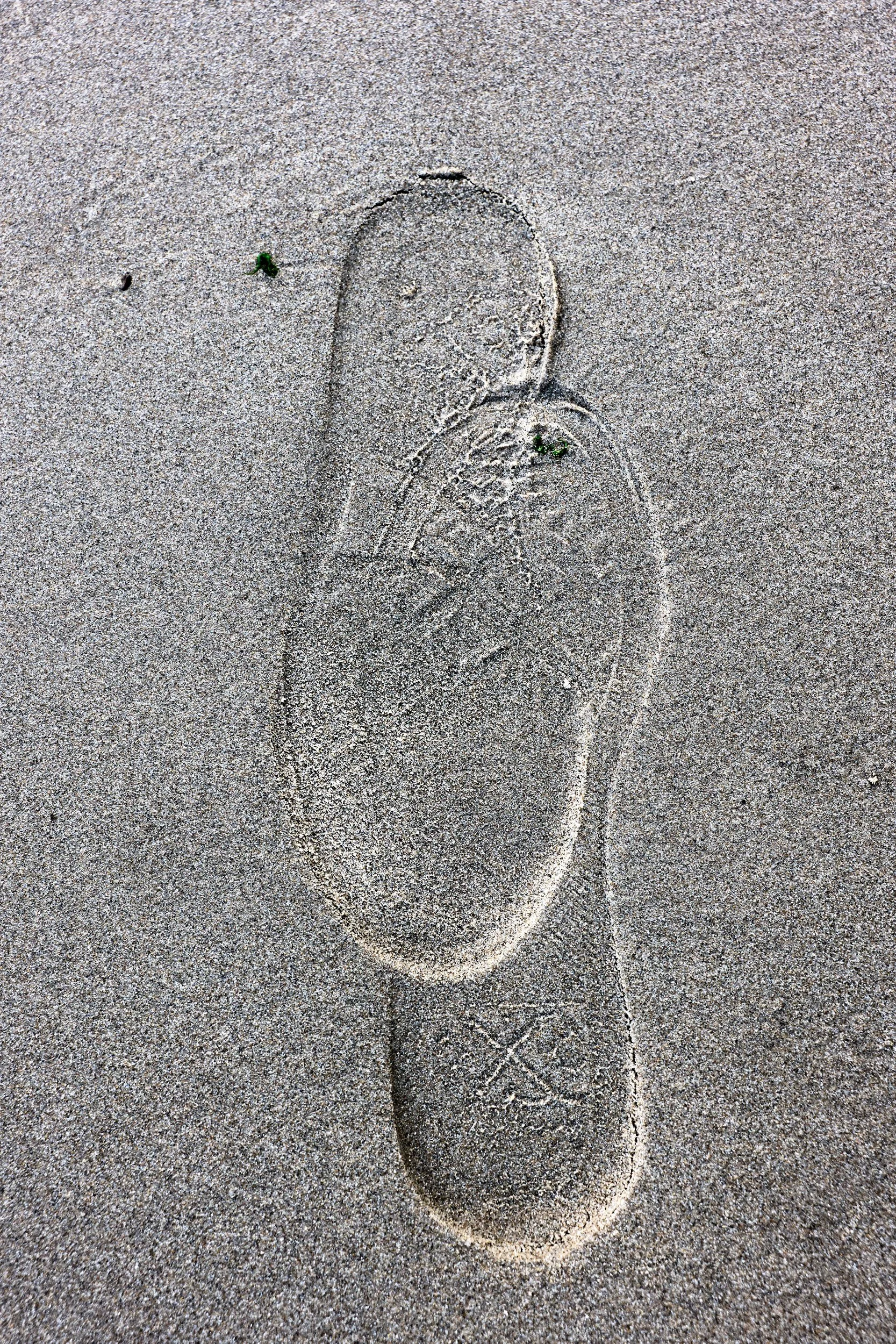 L1160381.jpg