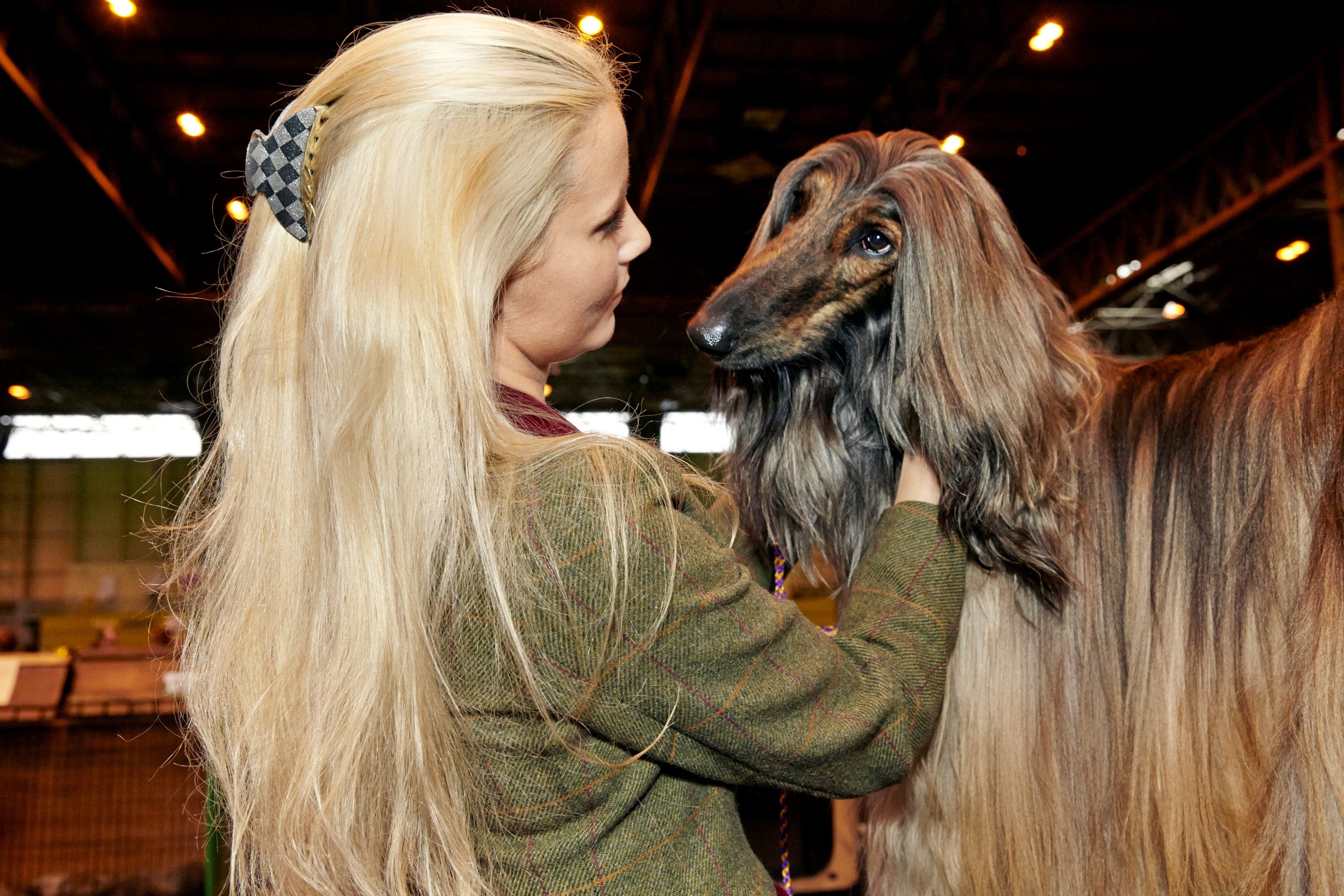 arnheldeserra_dogs_05.jpg