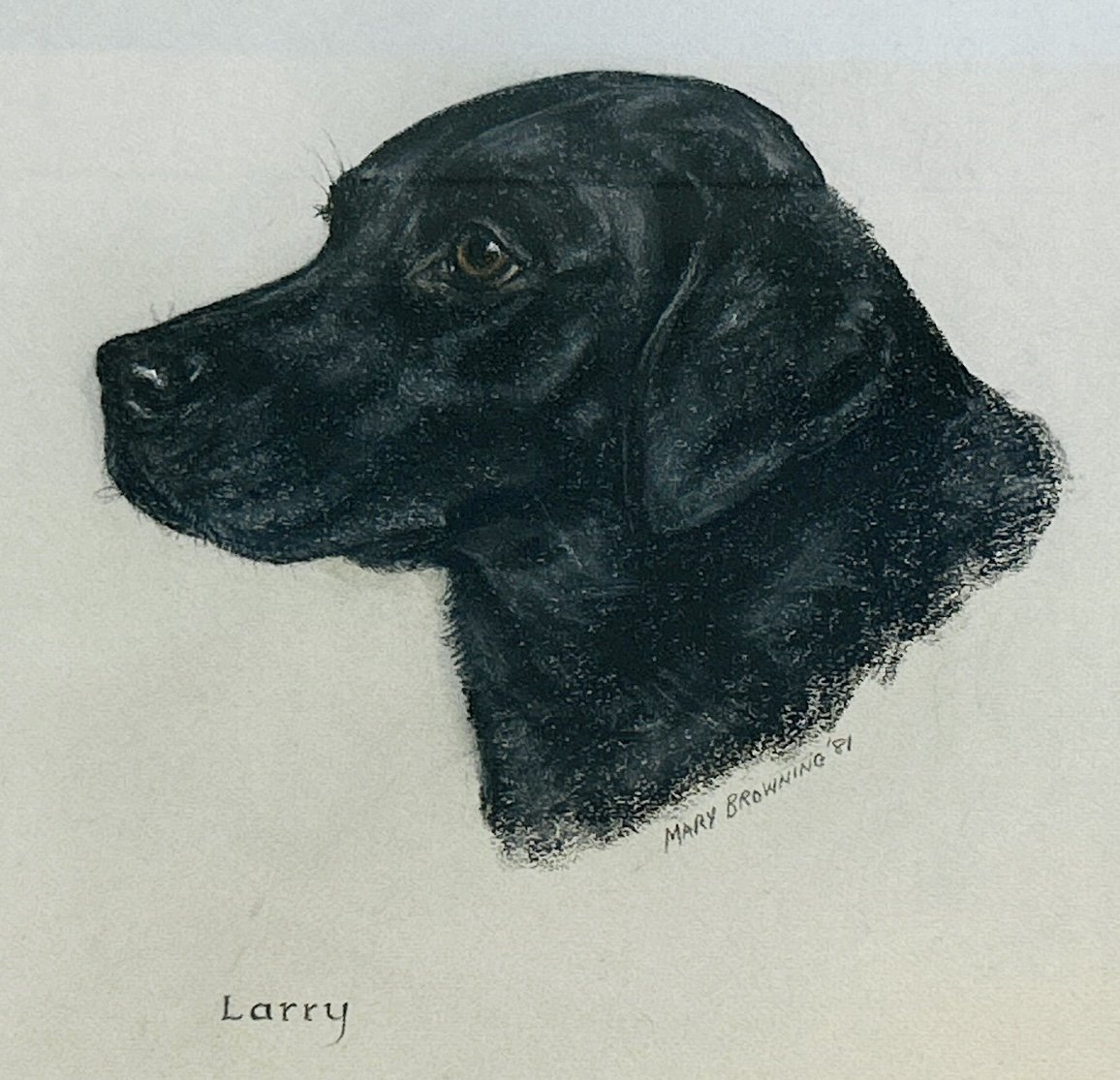 IMG_4248 (1)_Larrydog_sep24.jpeg