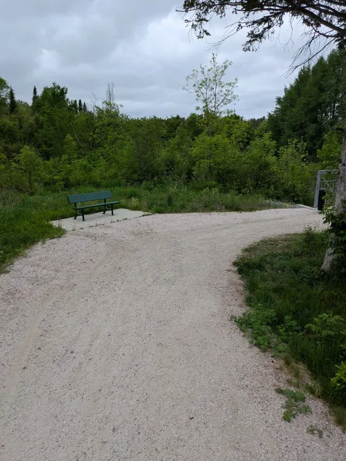 Inclusive Trail Trekkers: Gerry Montpellier Trail