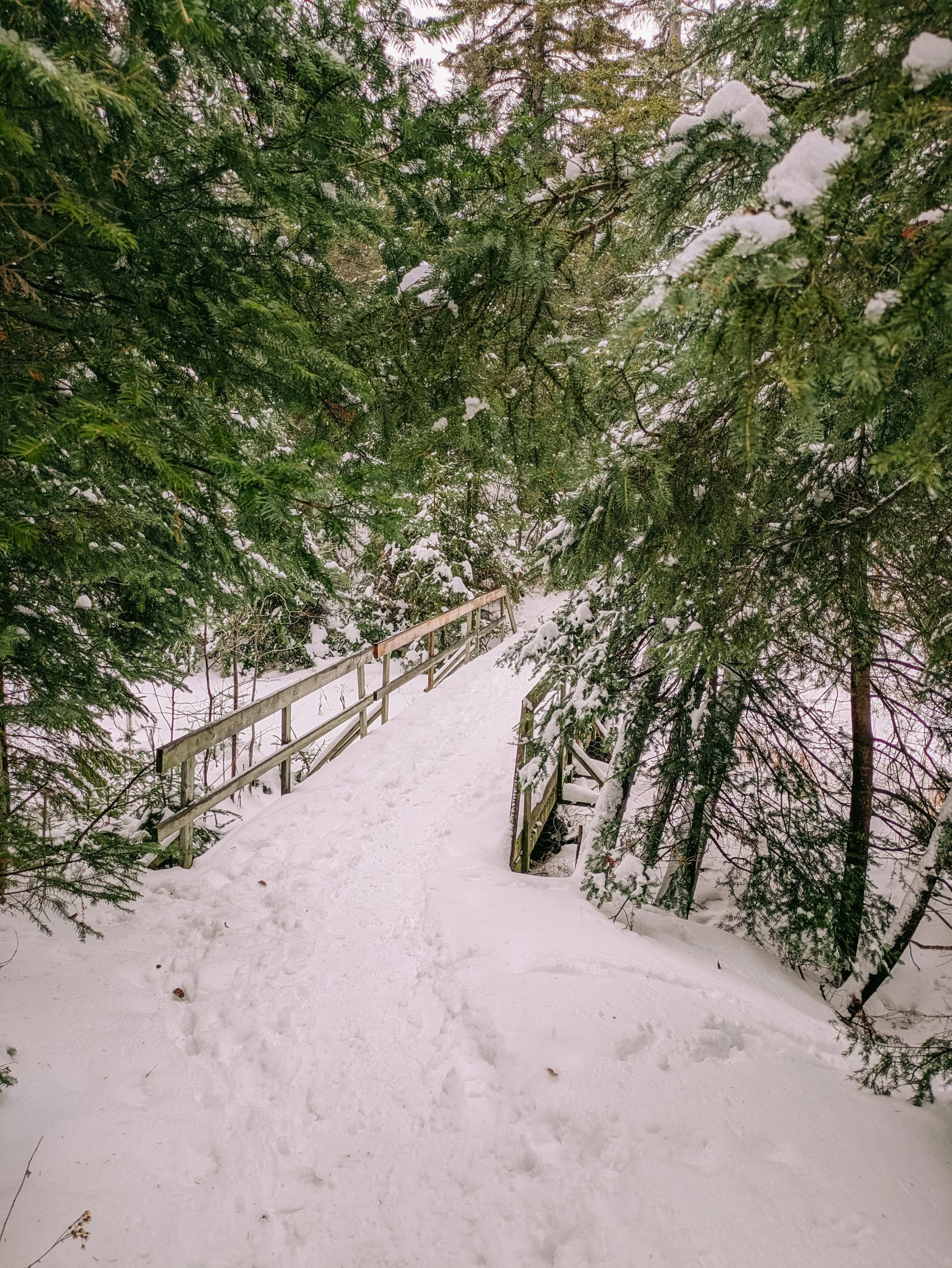 English Conversations on the Trail — Partnering with Ramakko’s Source for Adventure and Columbia Sportswear