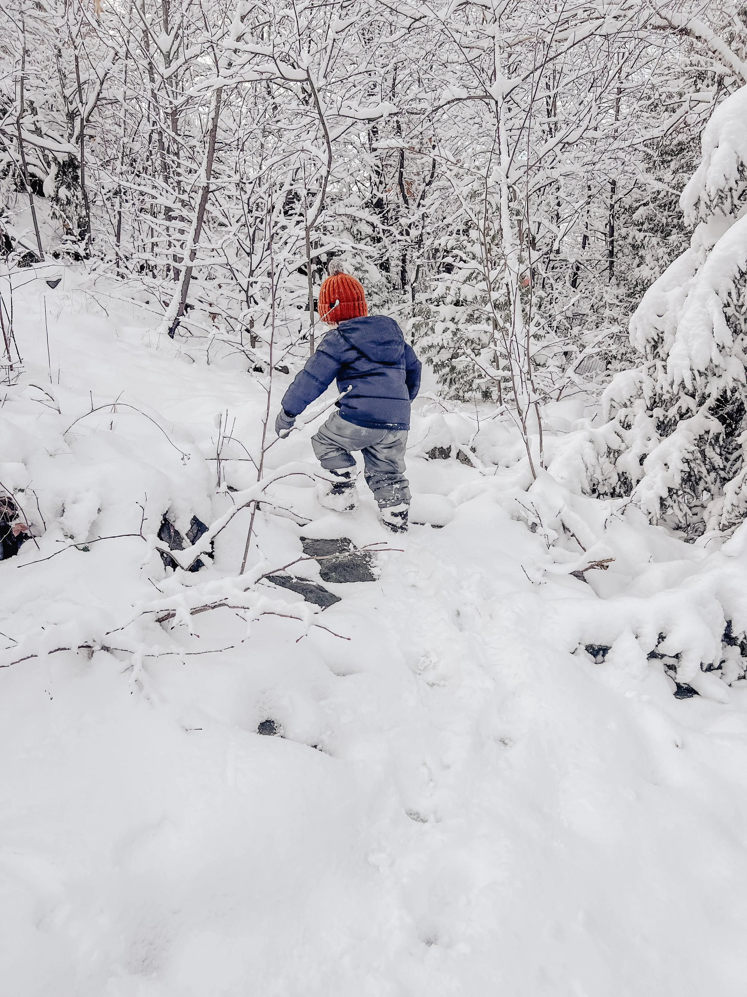 Little Explorers Family Forest School at Snow Day
