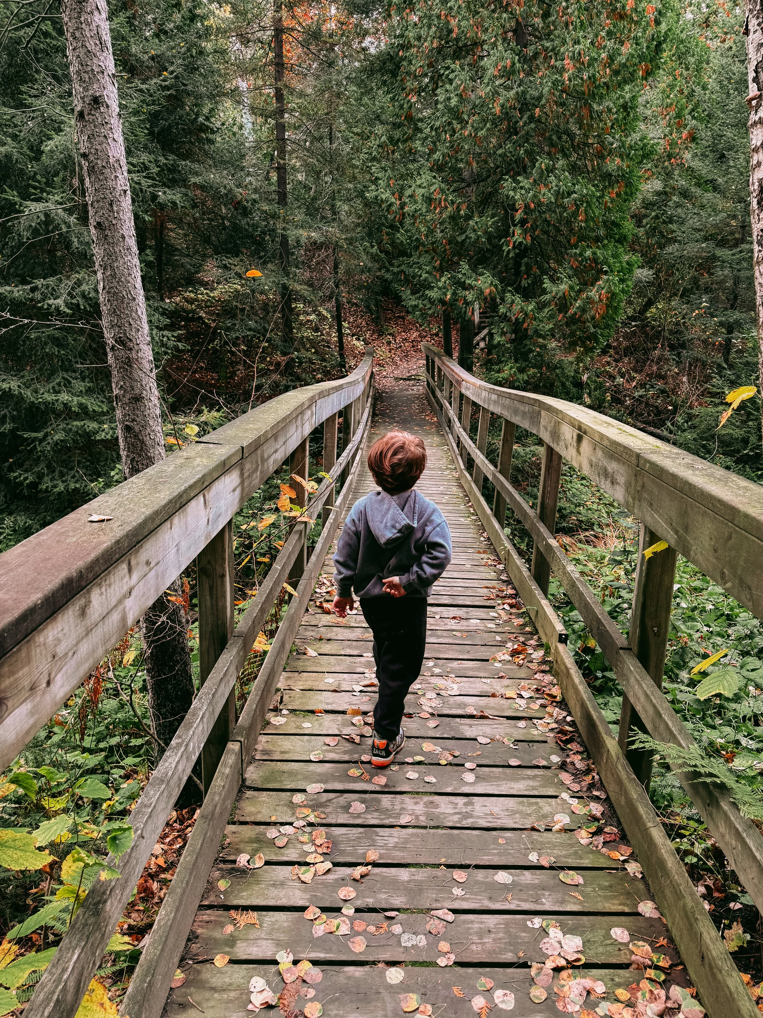 March Little Explorers Family Forest School