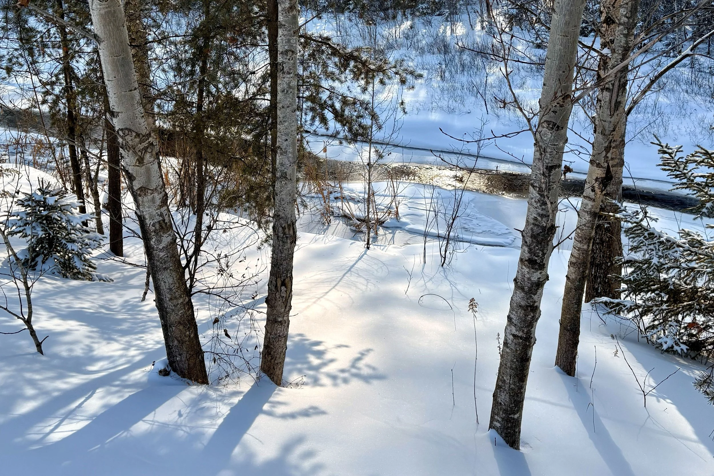 March English Conversations on the Trail