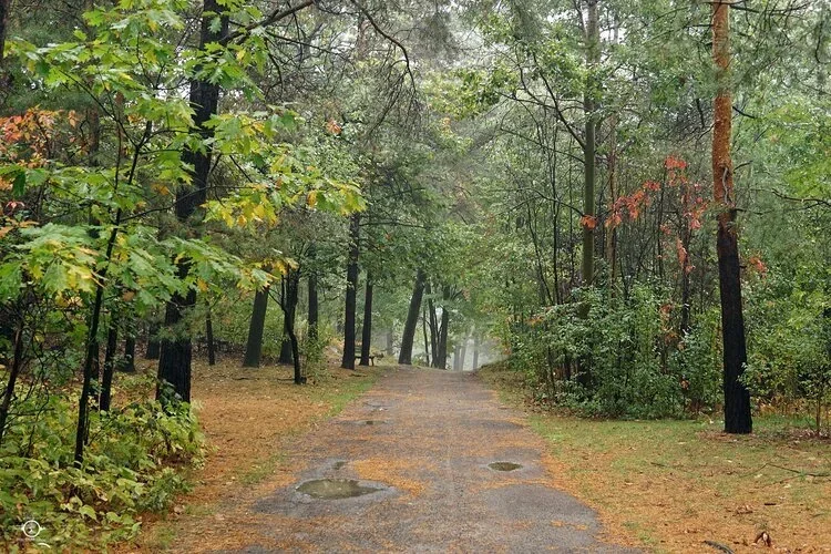 Bell Park Inclusive Trail Trekkers
